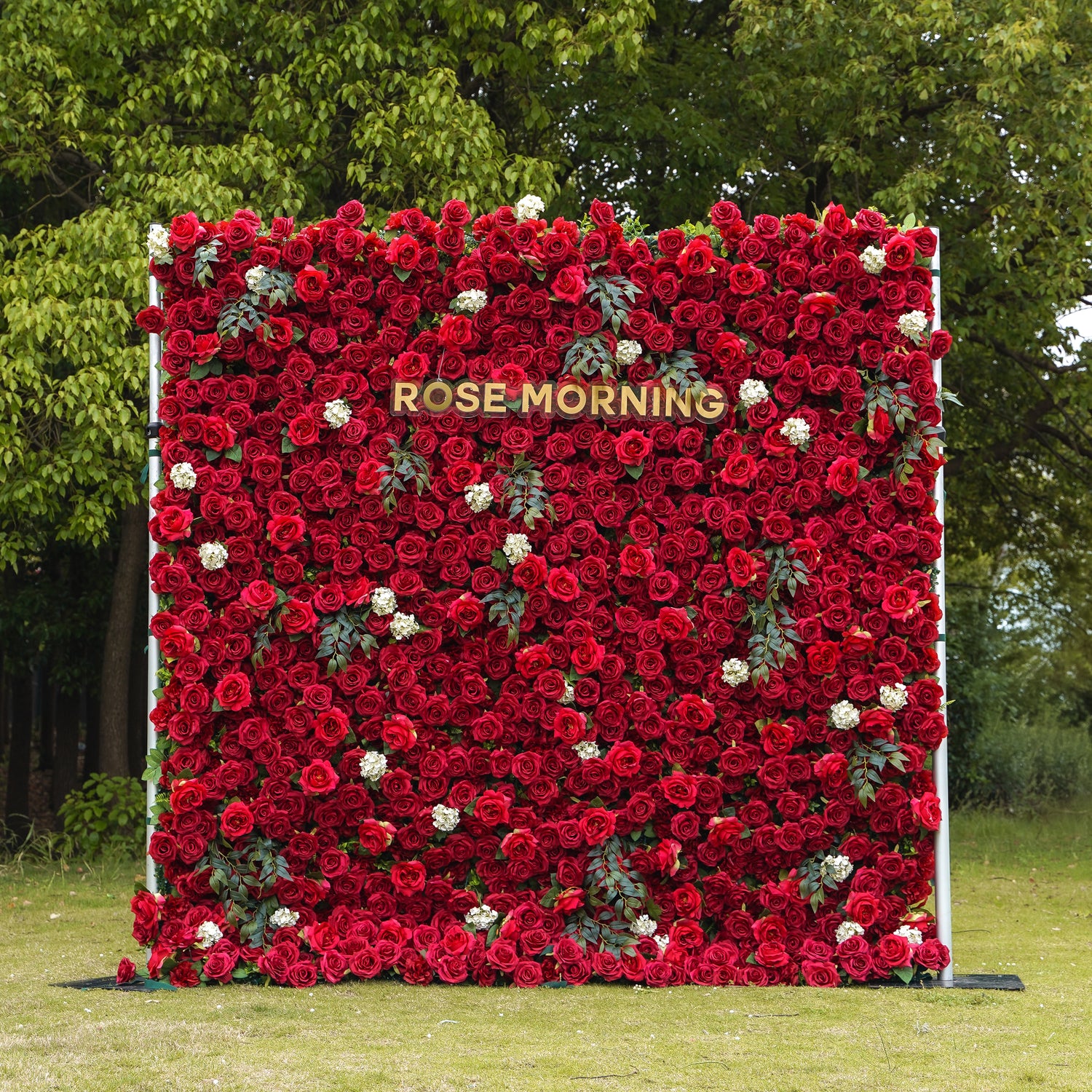 Valentina:5D Fabric Artificial rolling up curtain flower wall Rose Morning