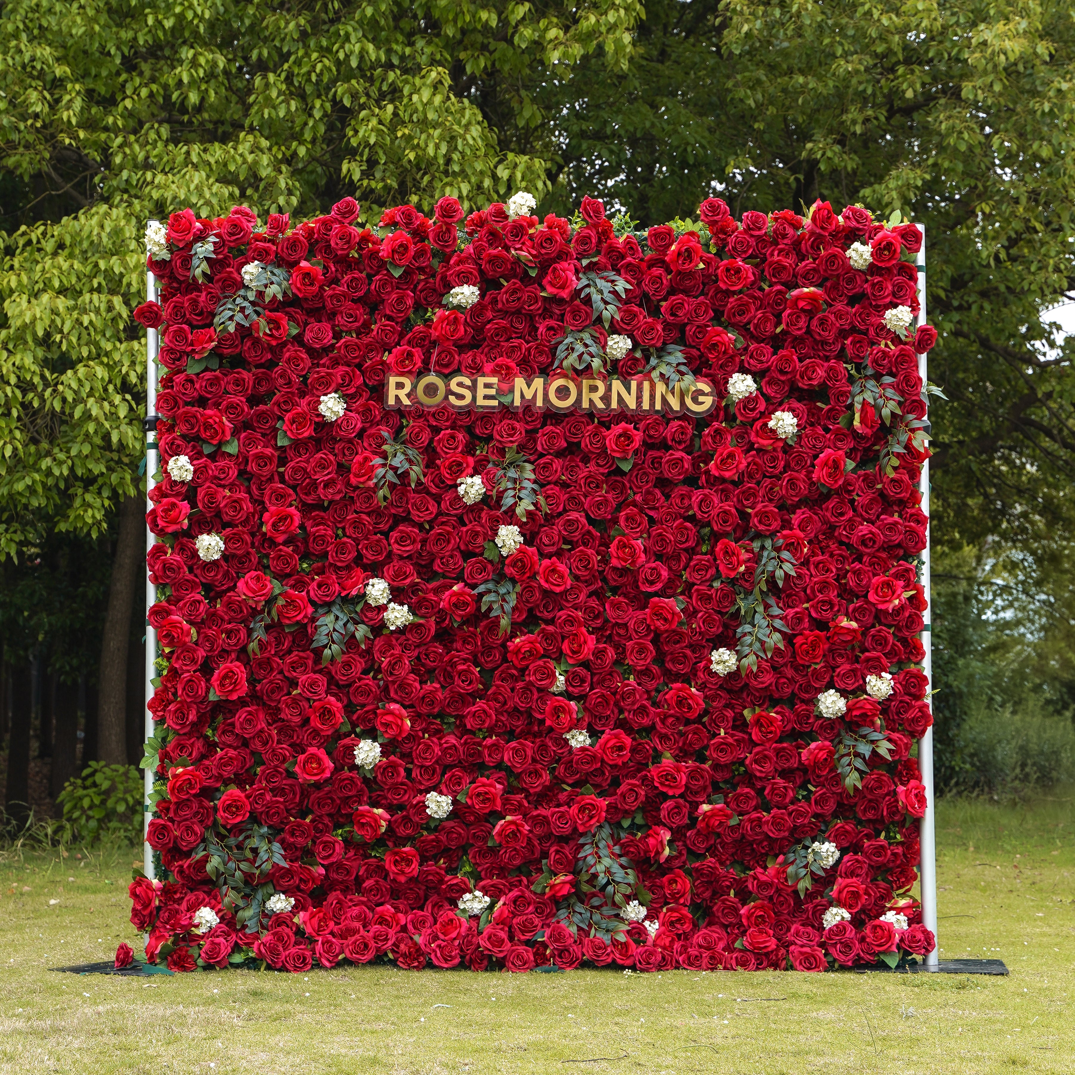Valentina:5D Fabric Artificial rolling up curtain flower wall Rose Morning