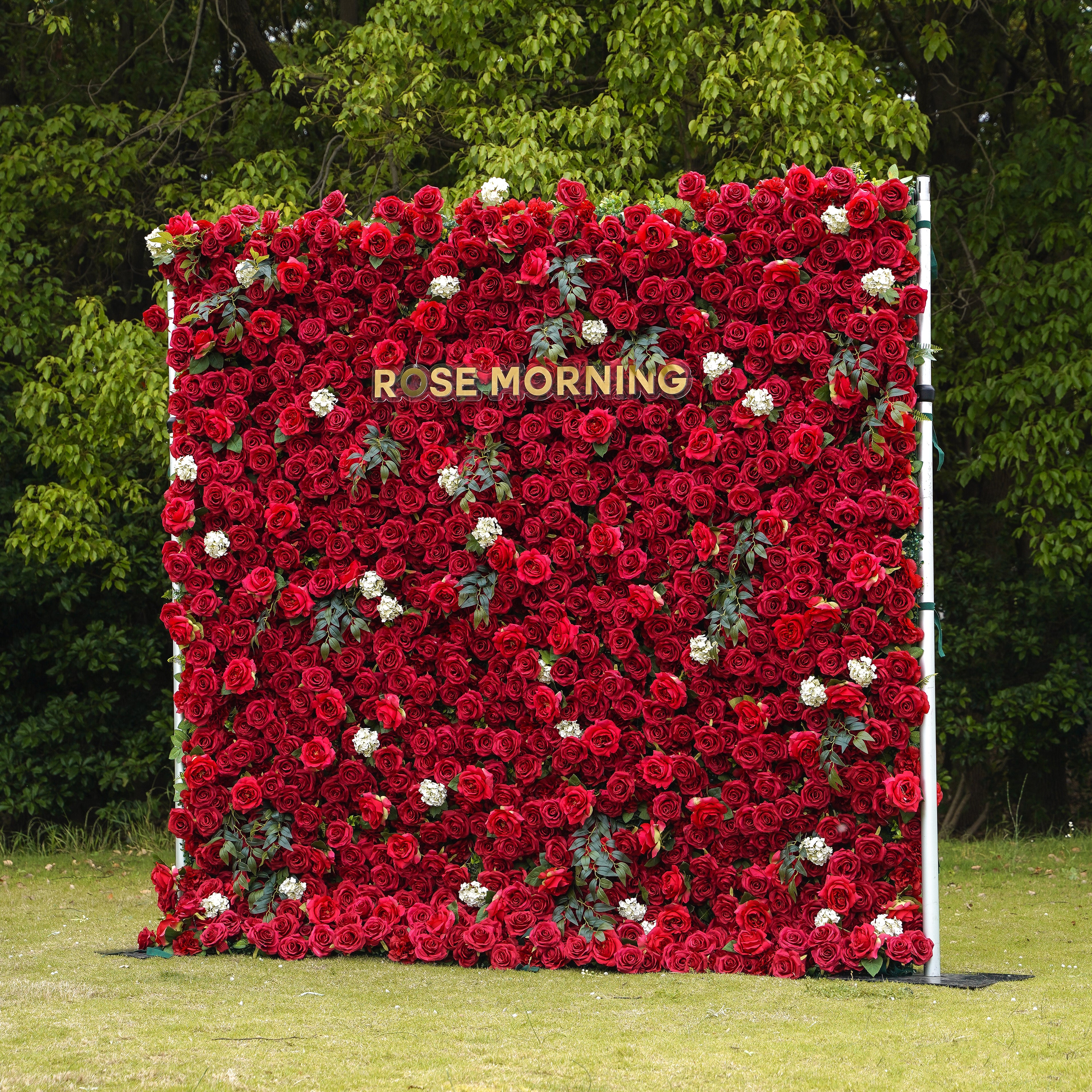 Valentina:5D Fabric Artificial rolling up curtain flower wall Rose Morning