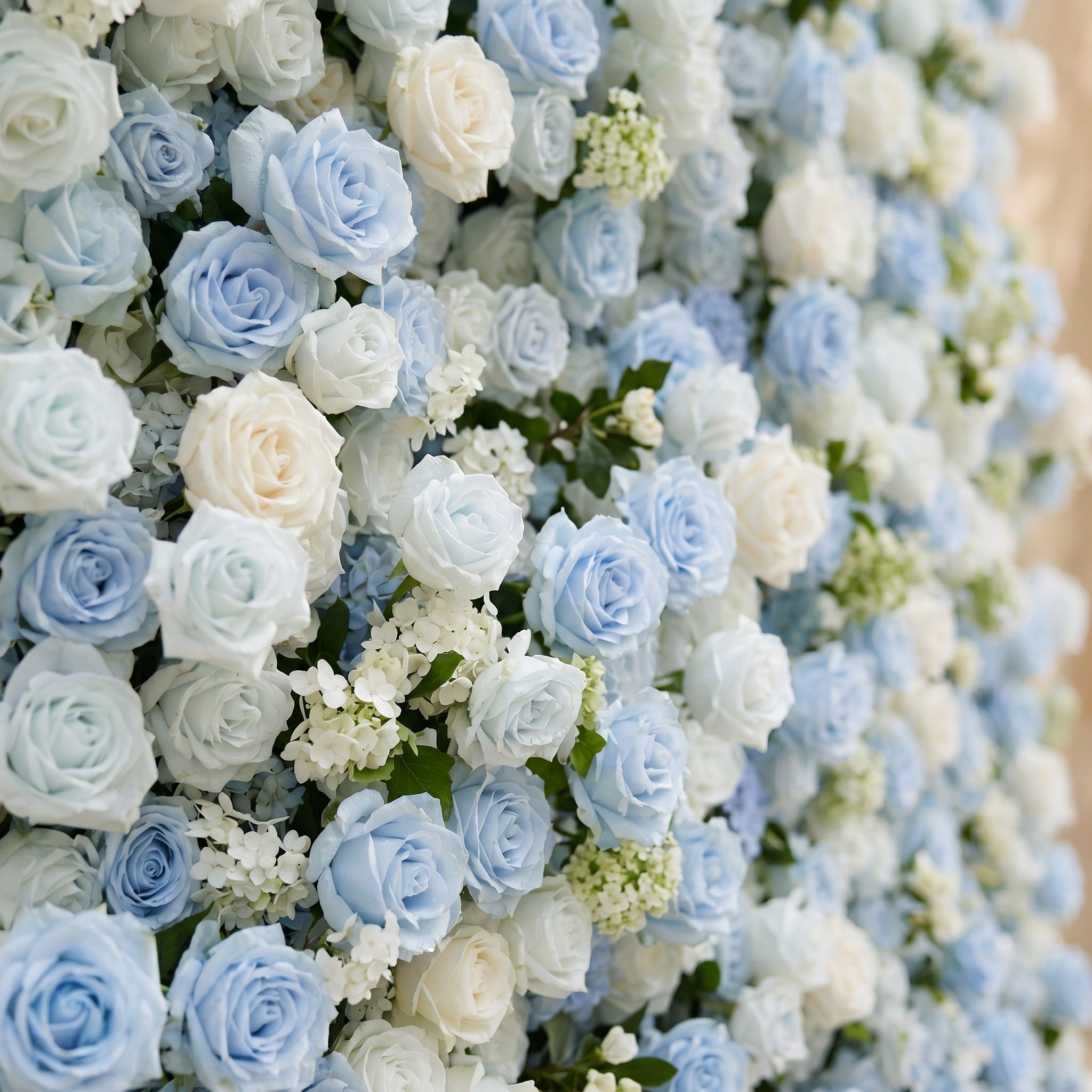 Vesperelia:5D Dusty Baby Blue & Ivory White Silk Rose Flower Wall Roll-Up Fabric Backdrop for Romantic Weddings & Proposals