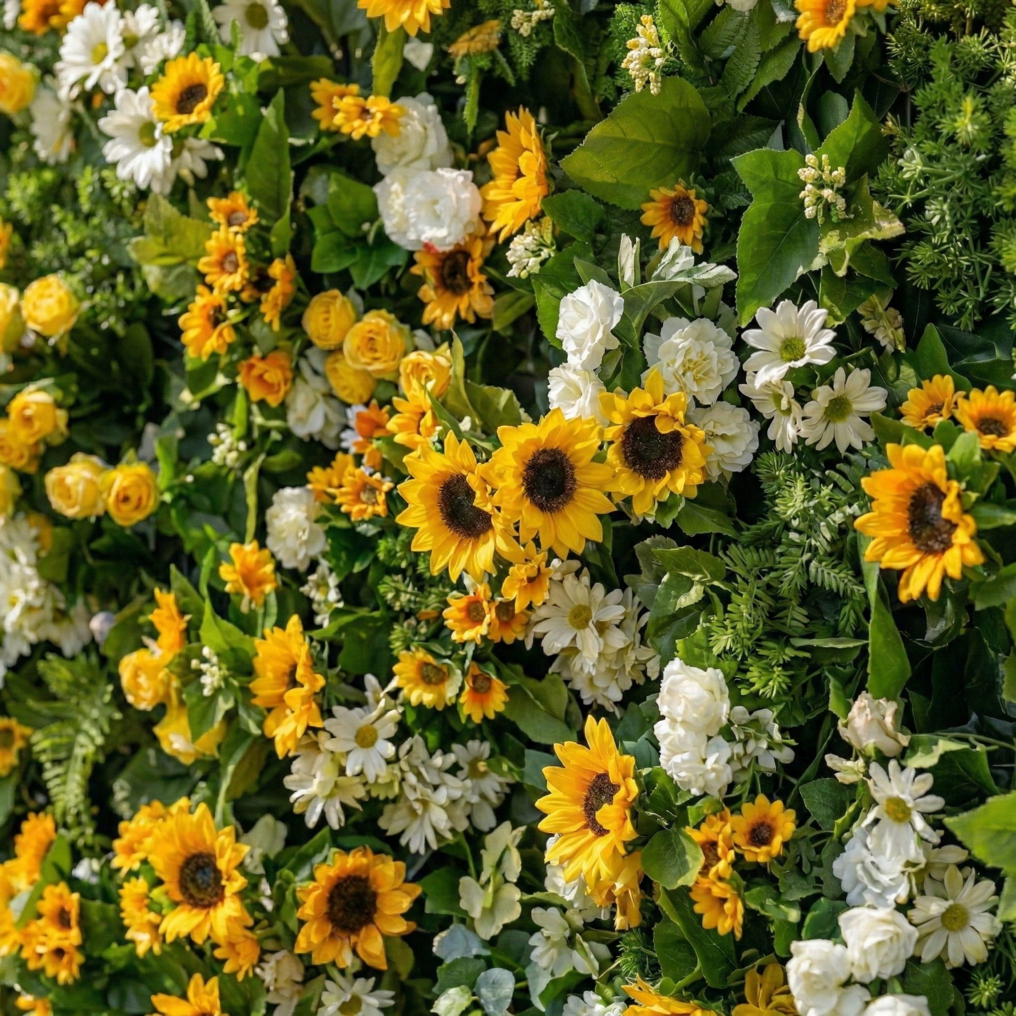 Violetta: Luxury 5D Sunflower & Cream Rose Silk Floral Wall Roll-Up Fabric Backdrop for Garden Weddings & Events