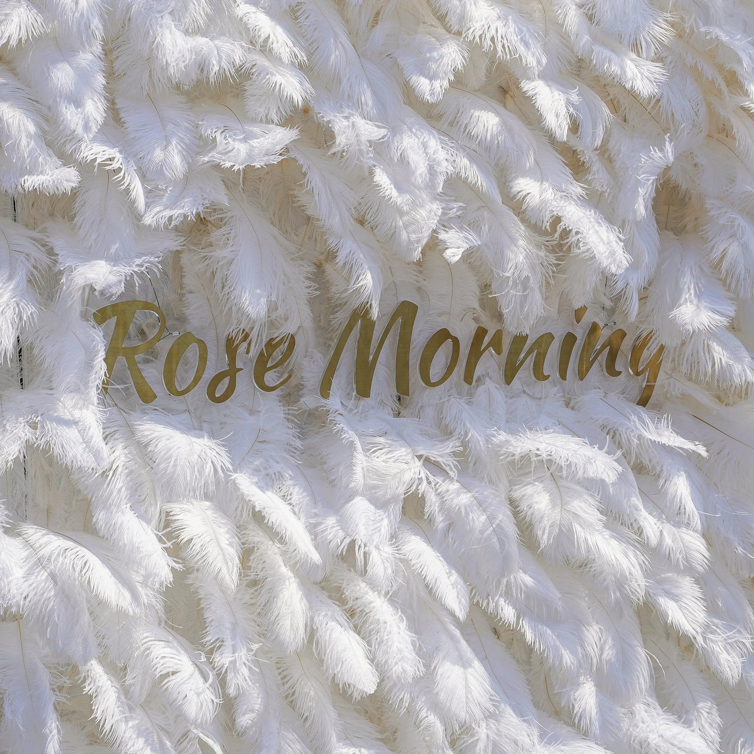 White Feather:5D Fabric Artificial rolling up curtain flower wall