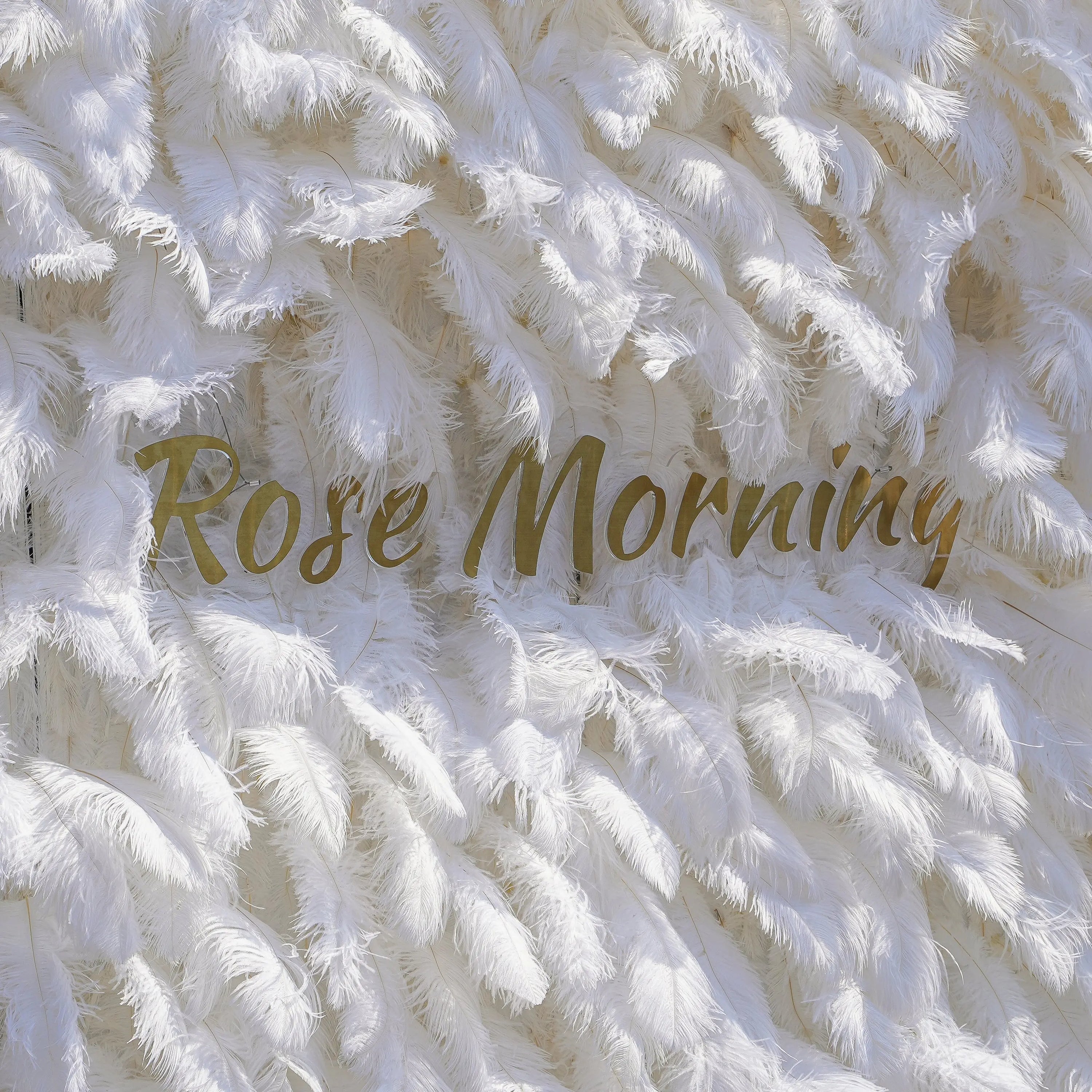 White Feather:5D Fabric Artificial rolling up curtain flower wall