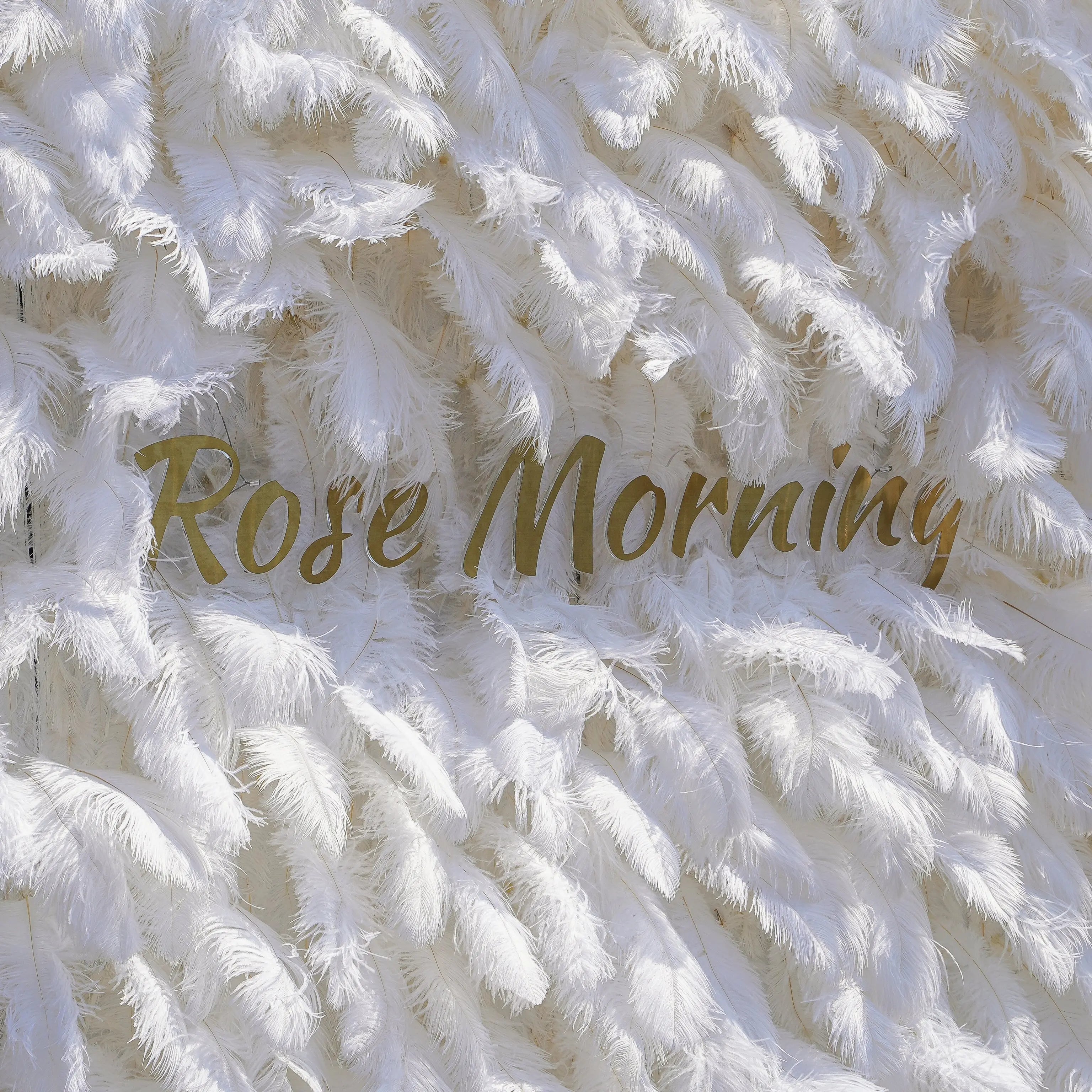 White Feather:5D Fabric Artificial rolling up curtain flower wall