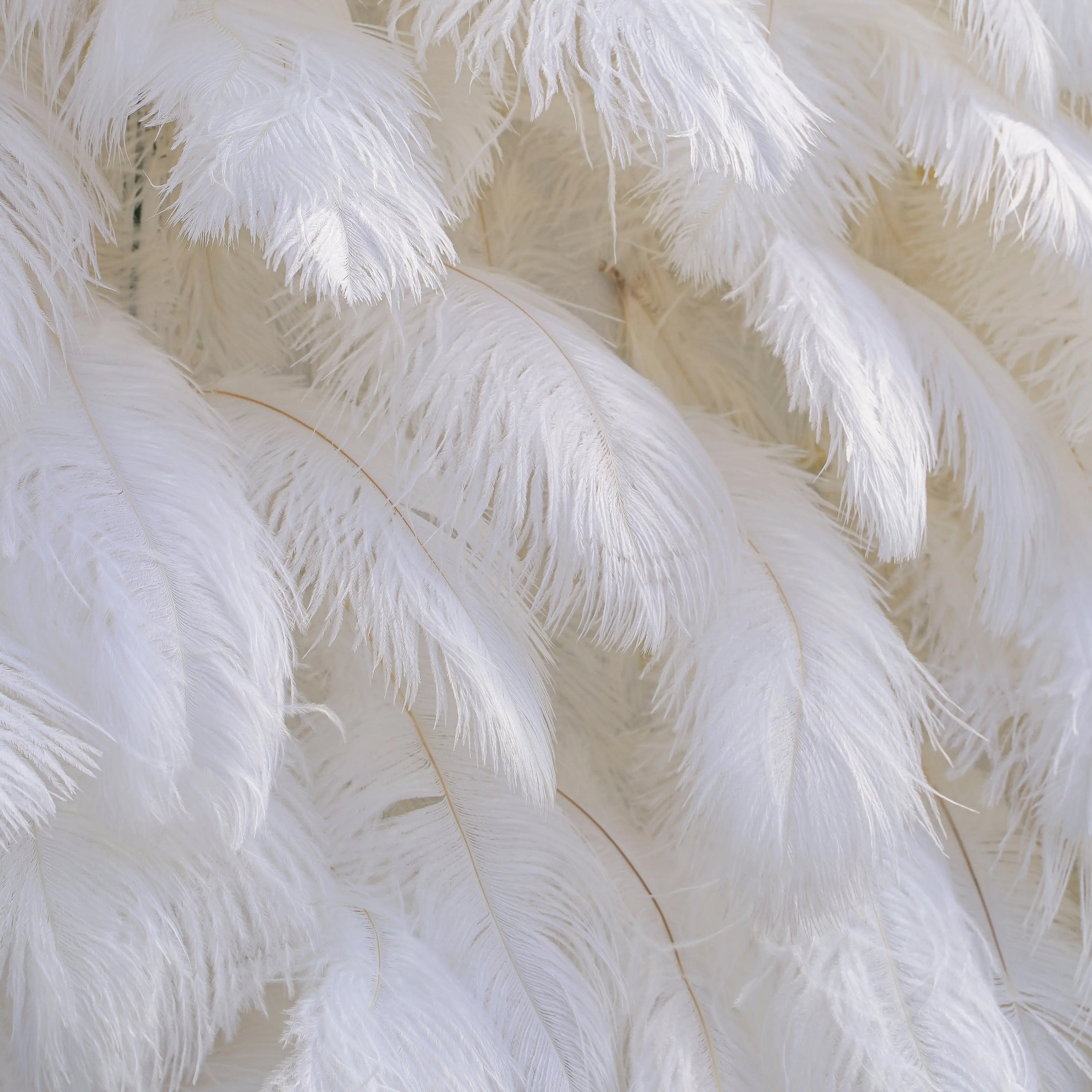White Feather:5D Fabric Artificial rolling up curtain flower wall