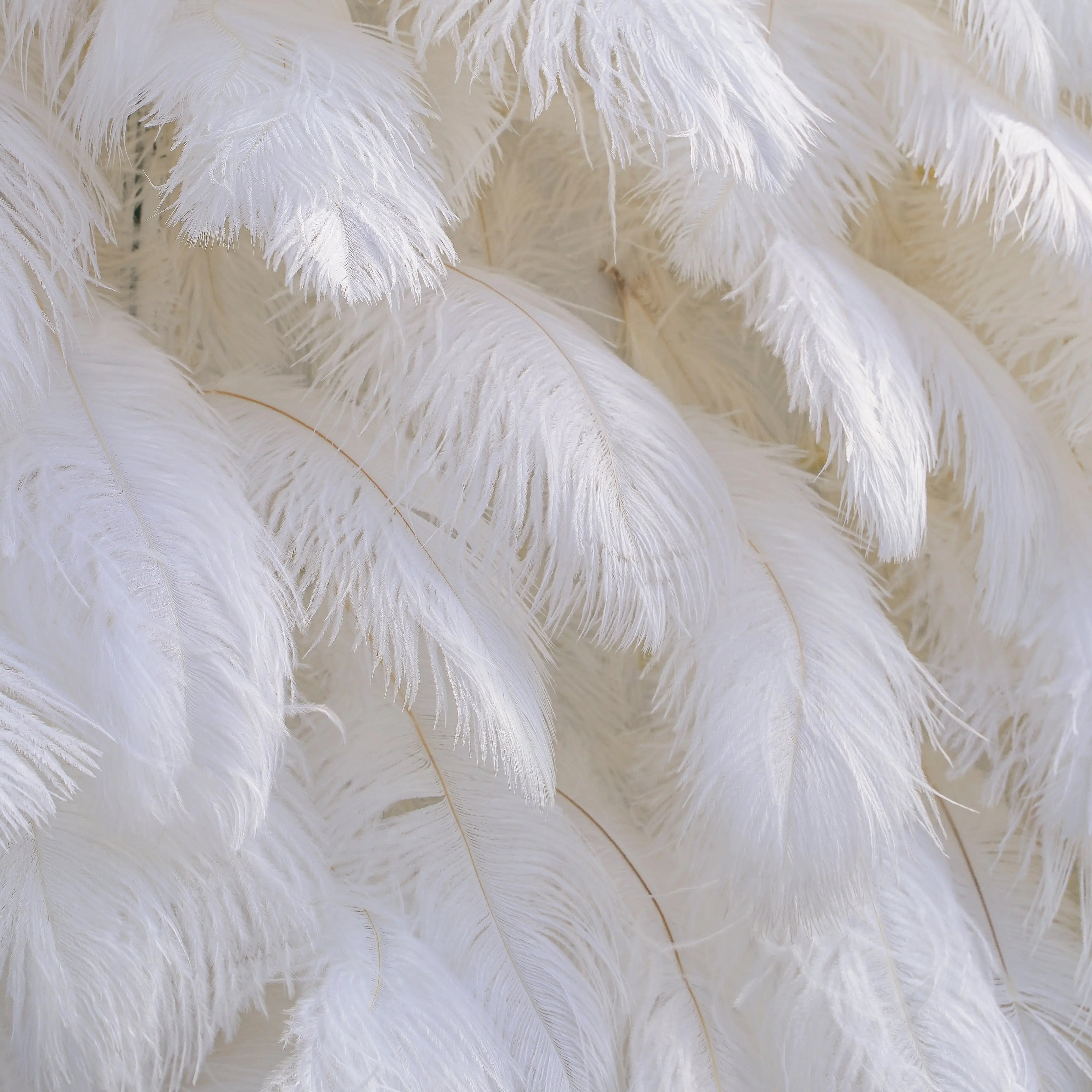 White Feather:5D Fabric Artificial rolling up curtain flower wall