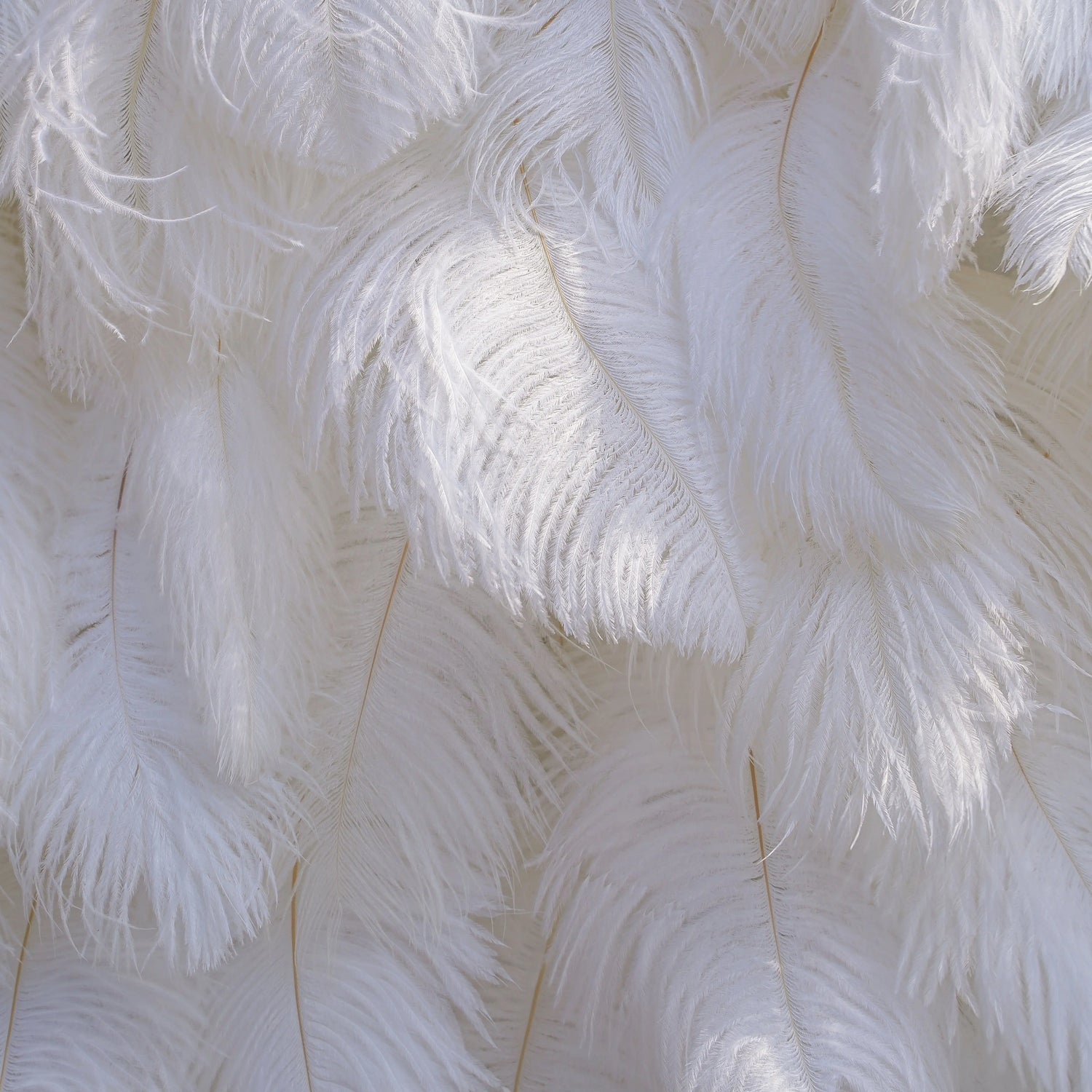 White Feather:5D Fabric Artificial rolling up curtain flower wall
