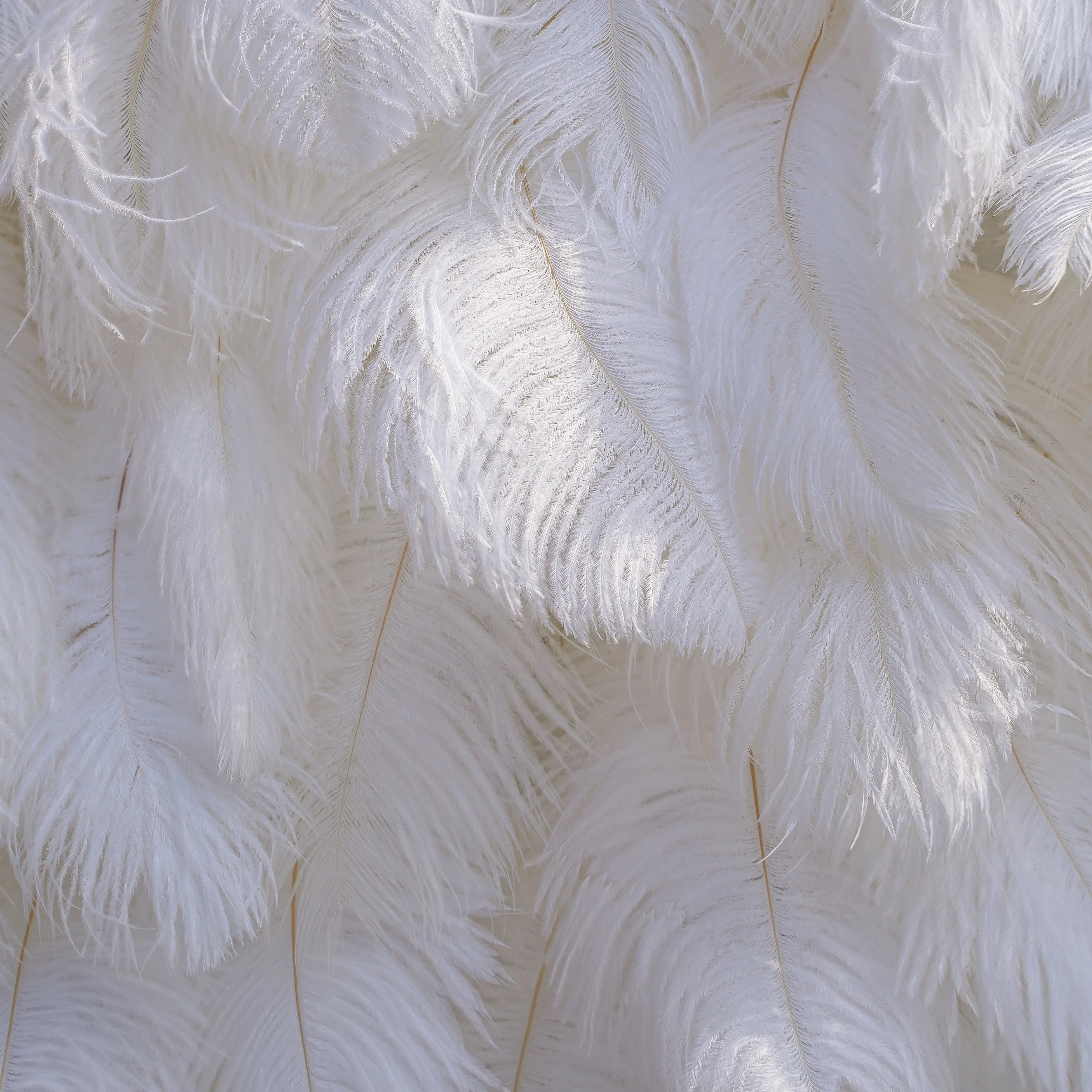 White Feather:5D Fabric Artificial rolling up curtain flower wall