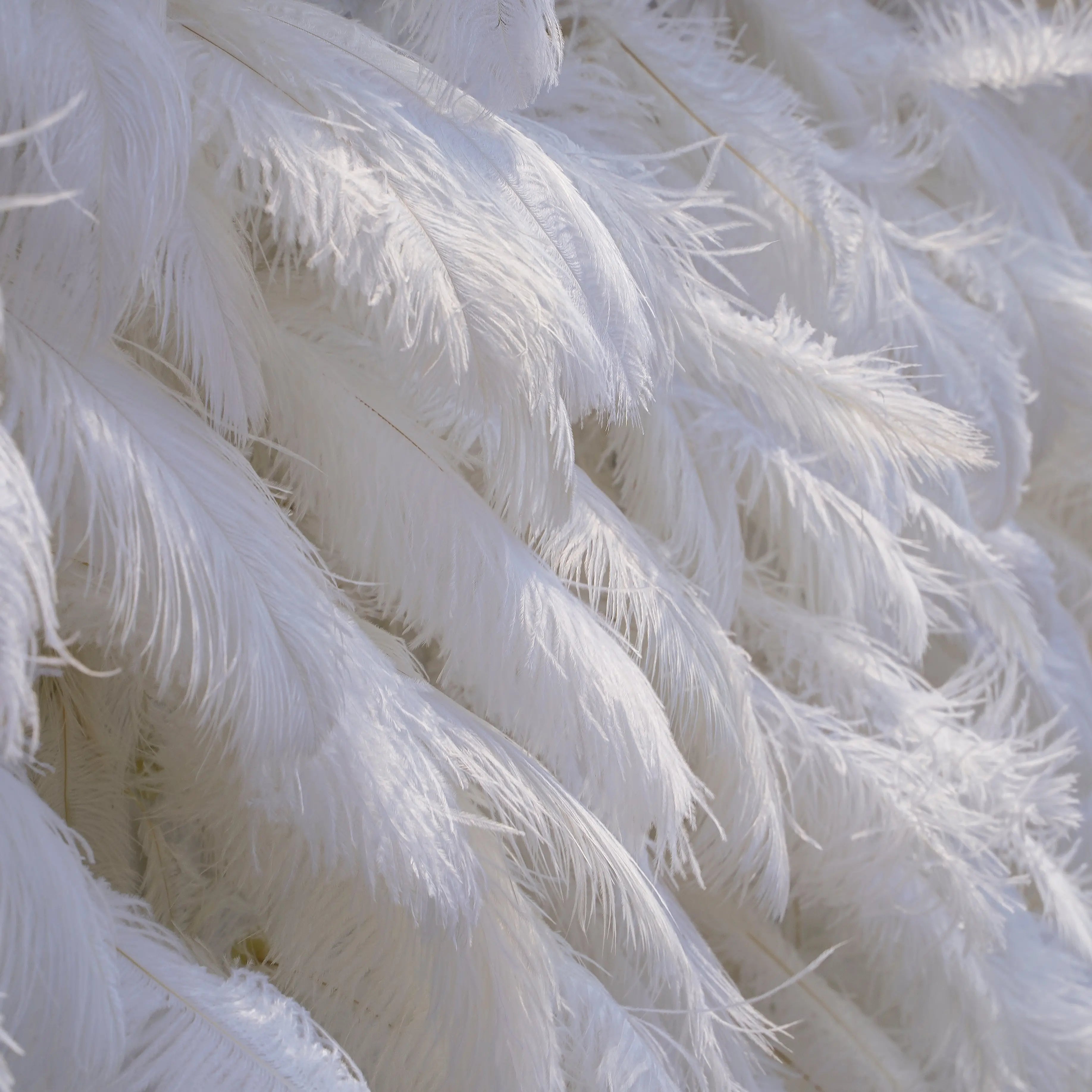 White Feather:5D Fabric Artificial rolling up curtain flower wall