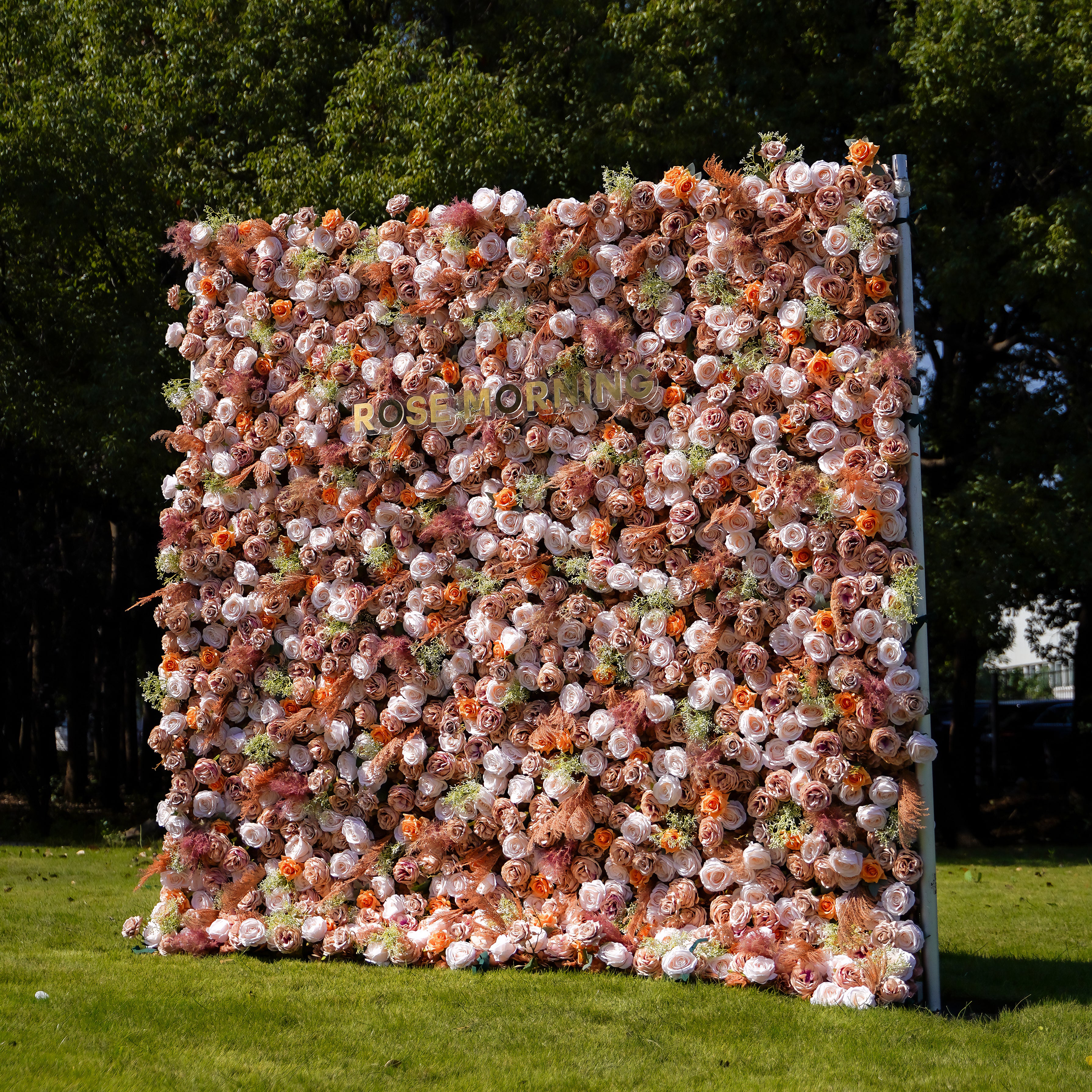 Abbyabbie 5D 2023 Fabric Artificial rolling up curtain flower wall Rose Morning