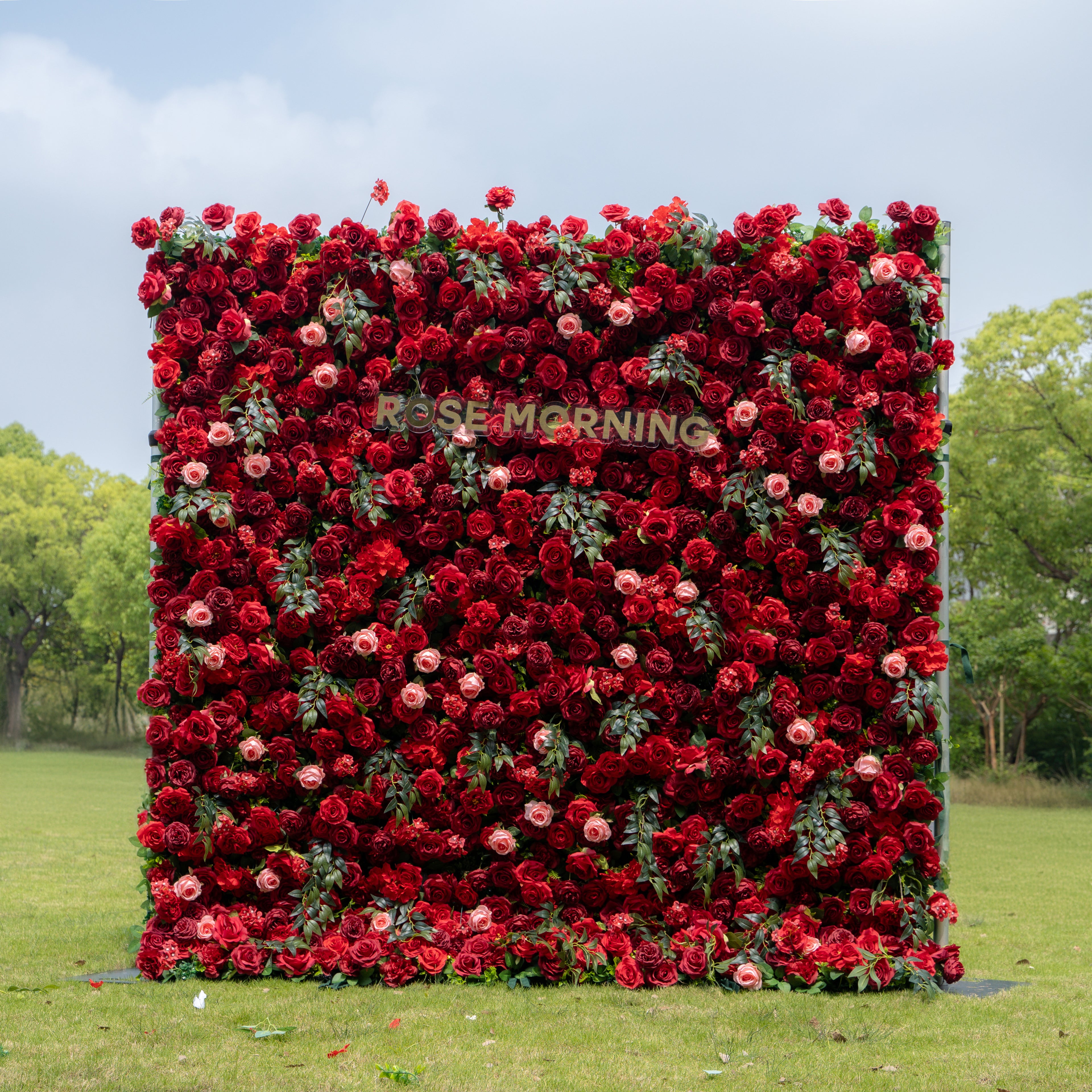 Aileen:5D Fabric Artificial rolling up curtain flower wall (Ship Now from USA) Rose Morning