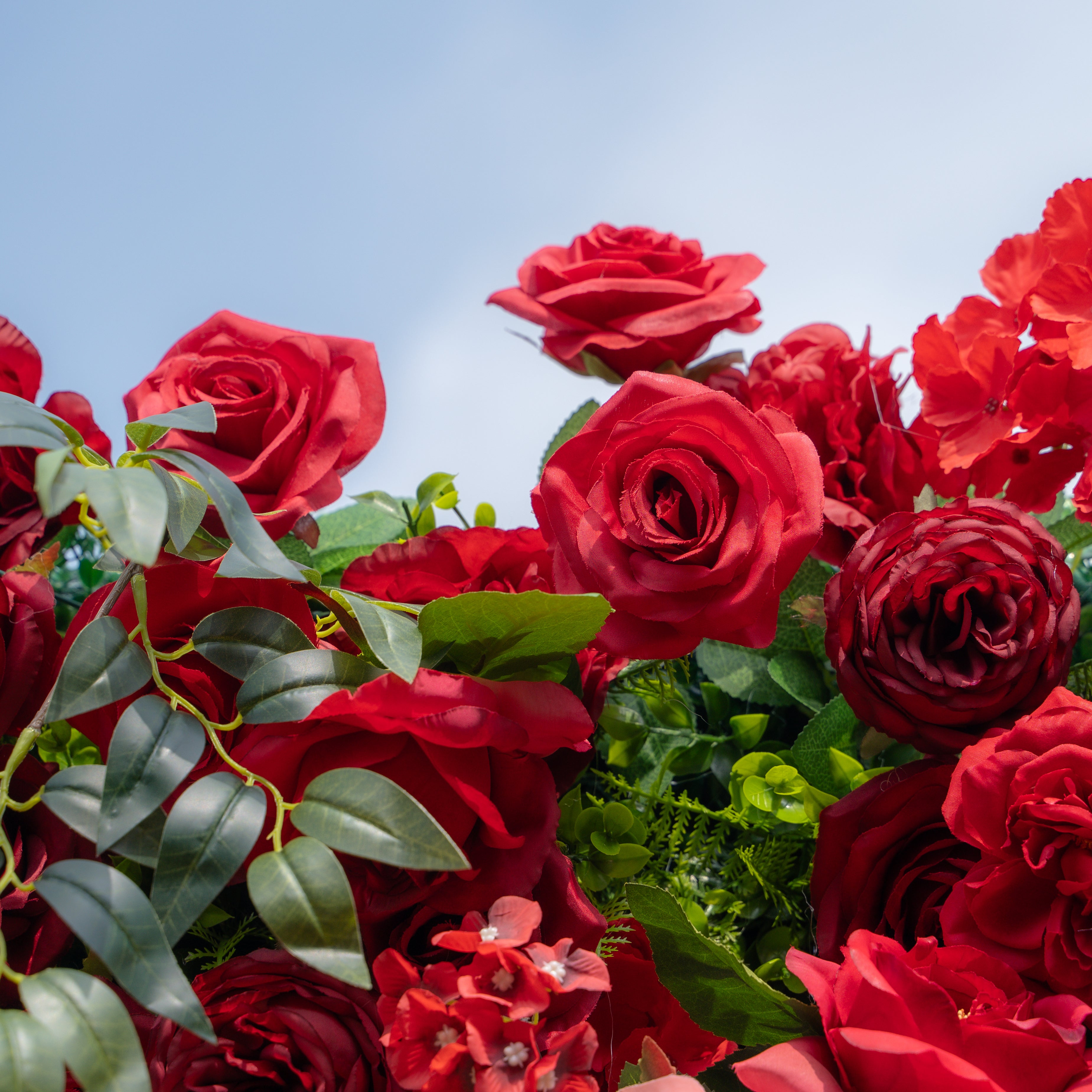 Aileen:5D Fabric Artificial rolling up curtain flower wall (Ship Now from USA) Rose Morning