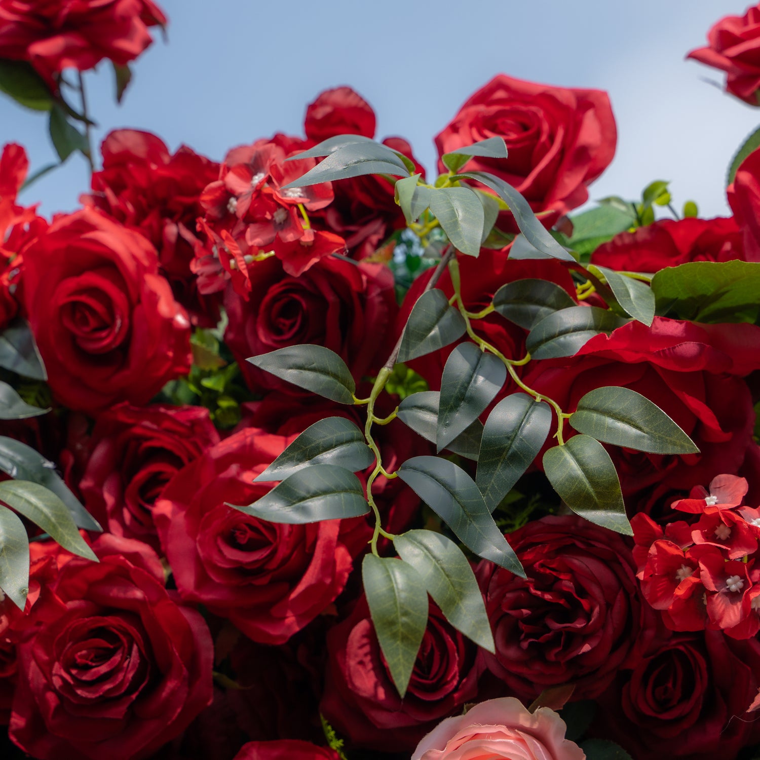 Aileen:5D Fabric Artificial rolling up curtain flower wall (Ship Now from USA) Rose Morning