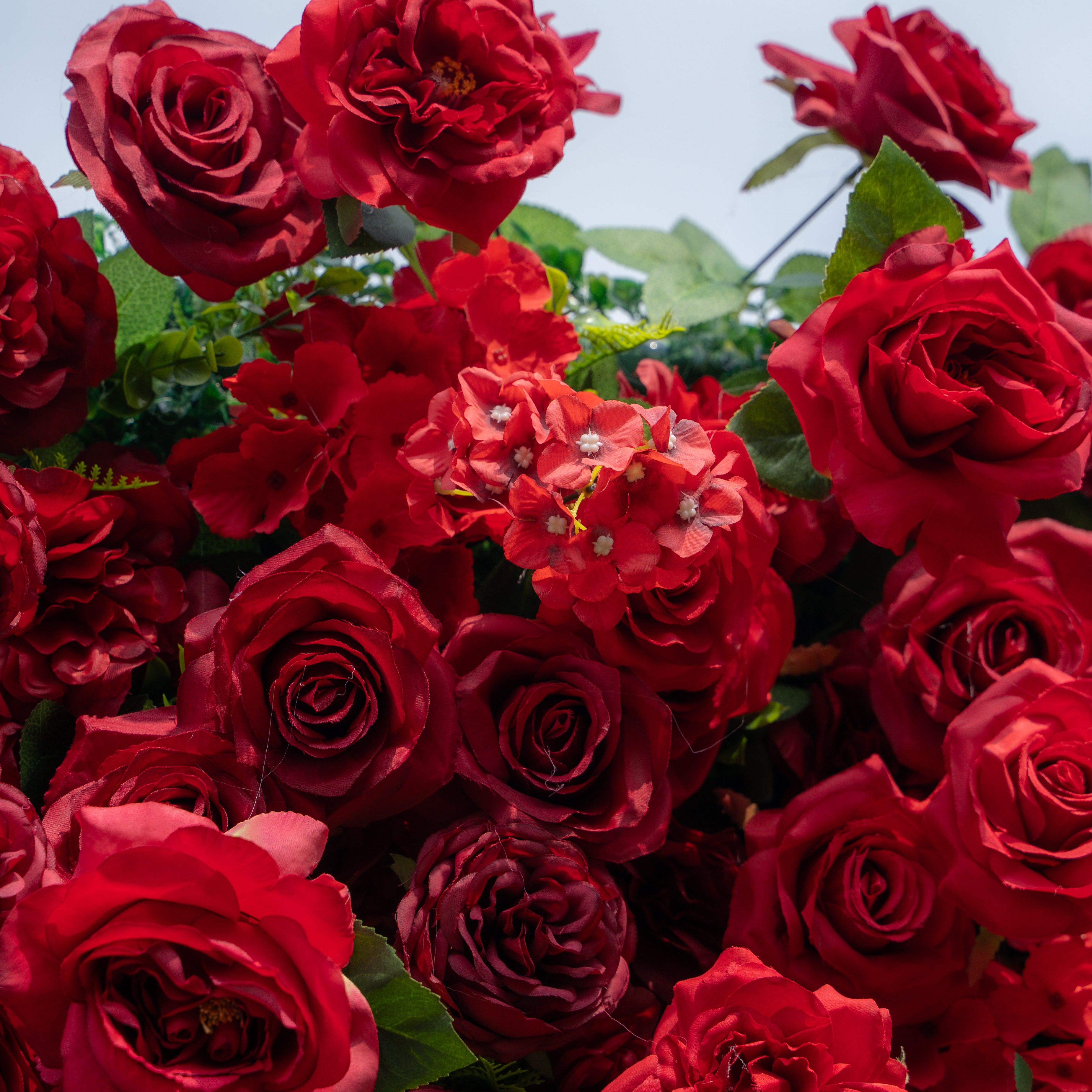 Aileen:5D Fabric Artificial rolling up curtain flower wall (Ship Now from USA) Rose Morning