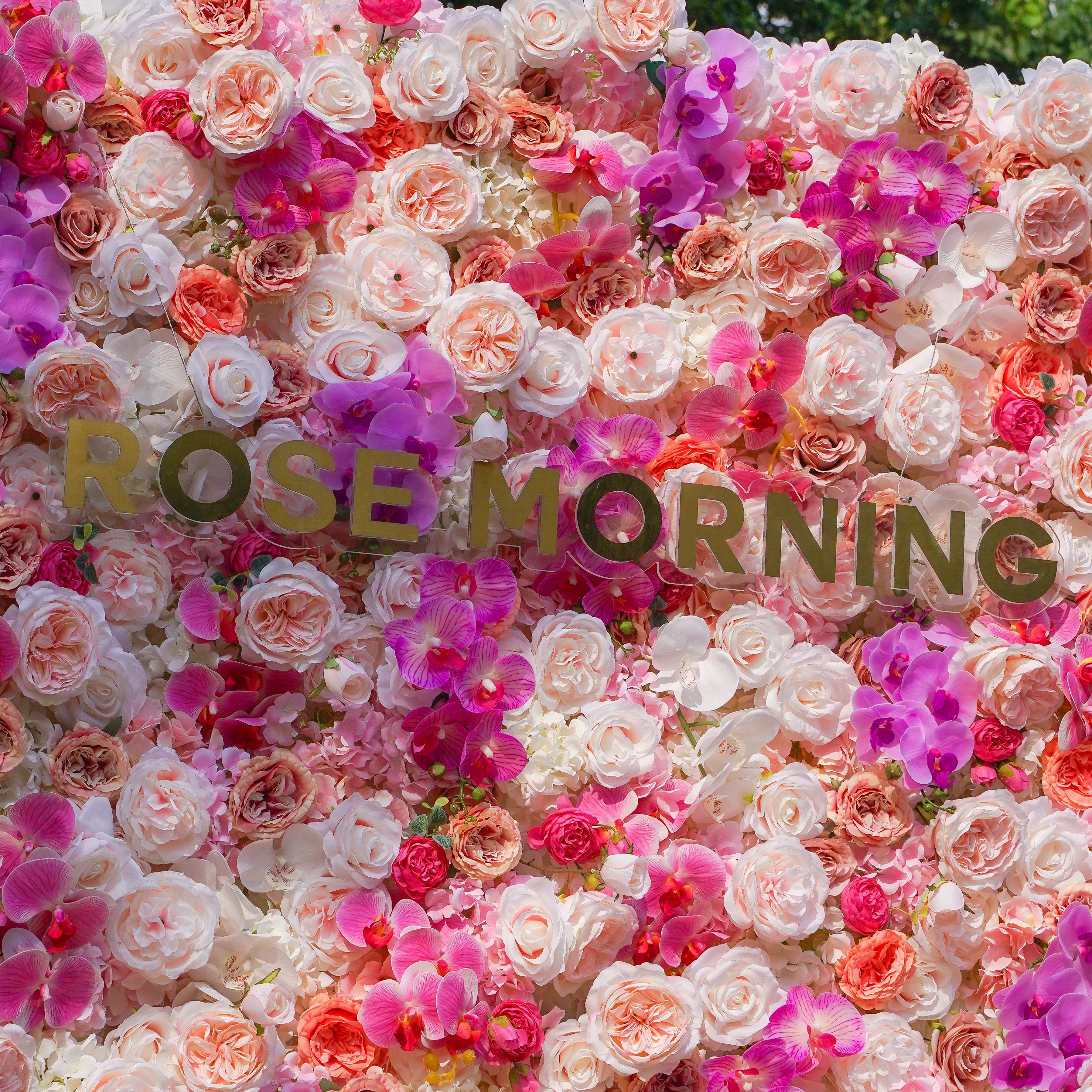 Aivy 3D Fabric Artificial rolling up curtain flower wall Rose Morning