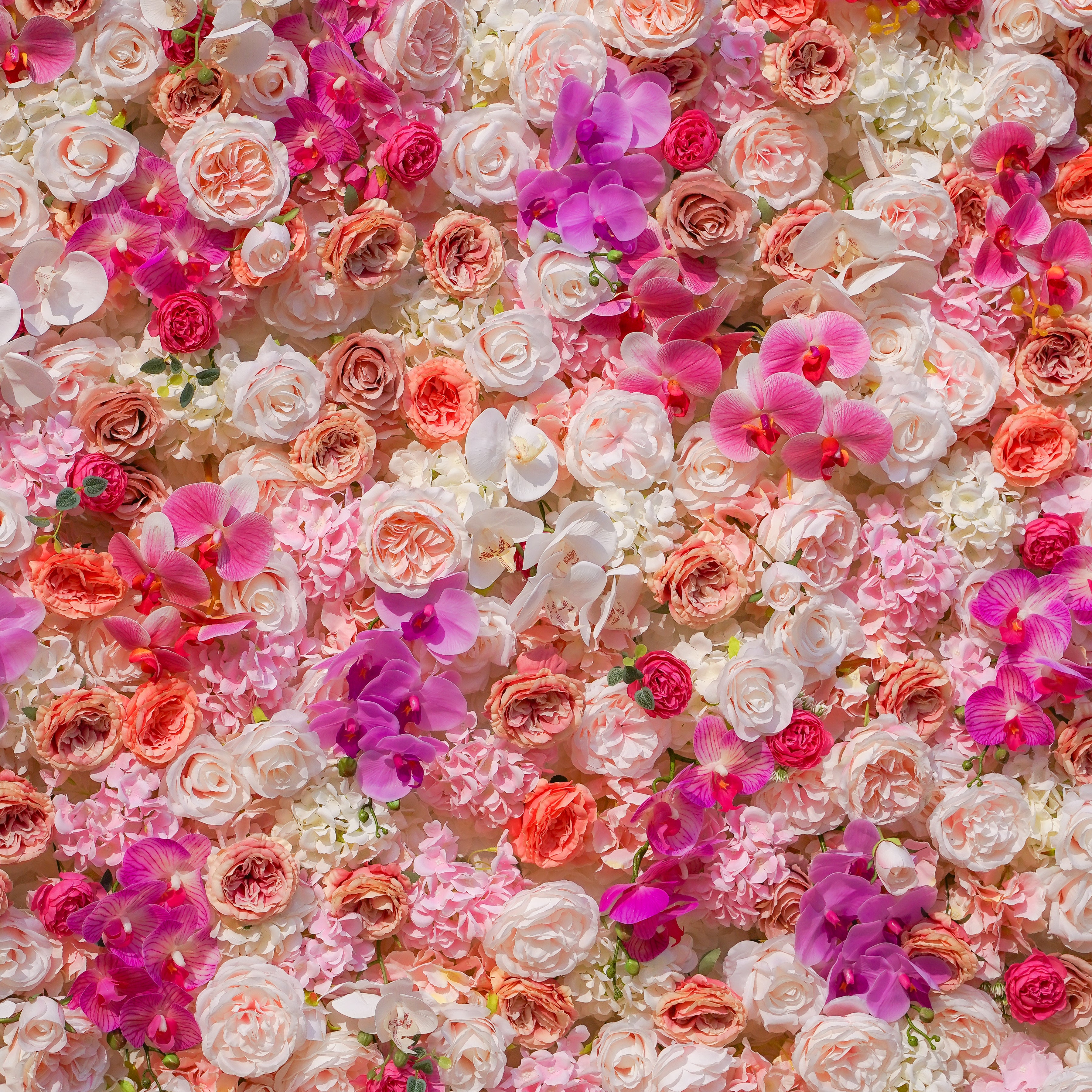 Aivy 3D Fabric Artificial rolling up curtain flower wall Rose Morning