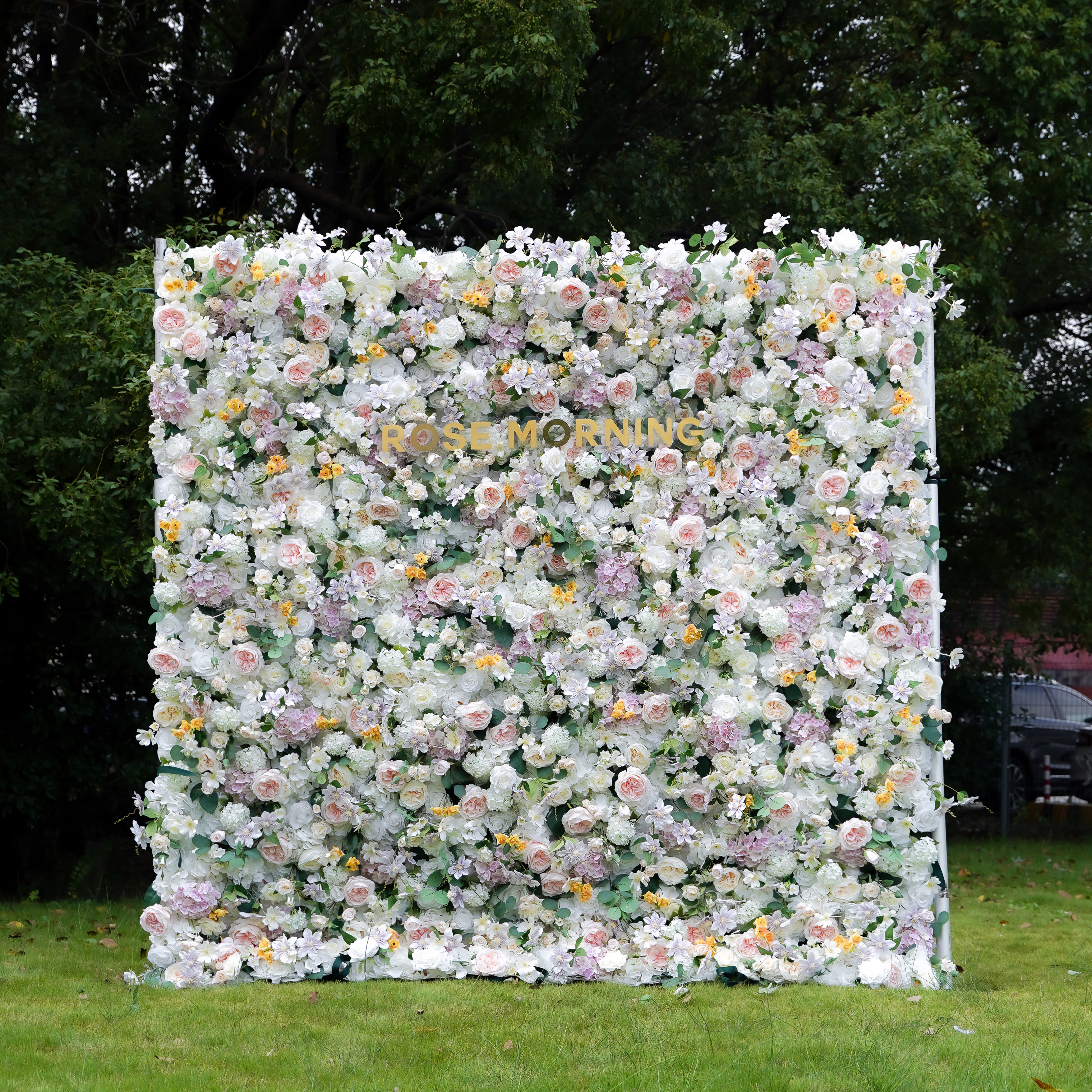 Alexa 5D Fabric Artificial rolling up curtain flower wall Rose Morning