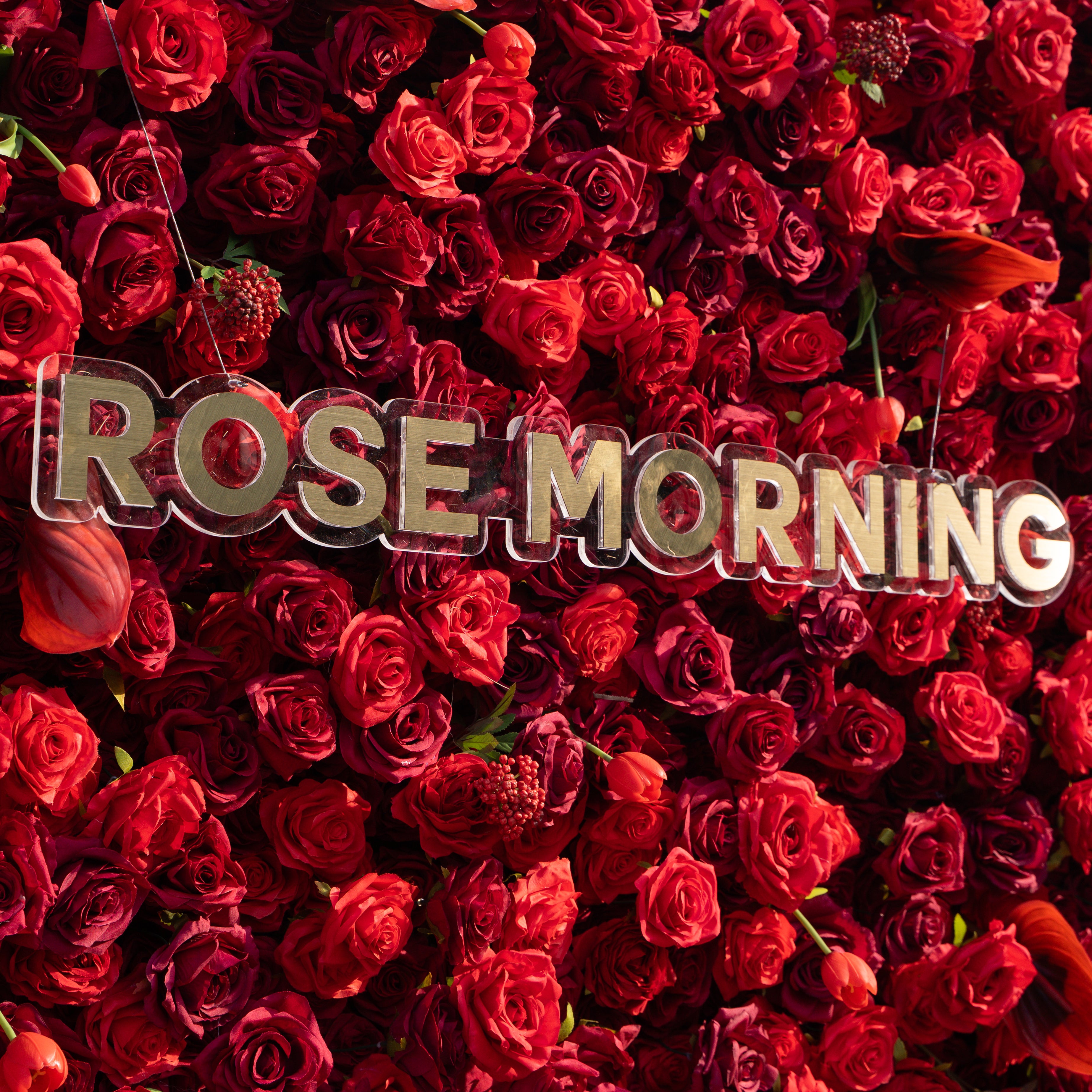 Annelise: 5D Pure Red Silk Rose with Blue hydrangeas Flower Wall Roll-Up Fabric Backdrop for Elegant Weddings & Events Decoration