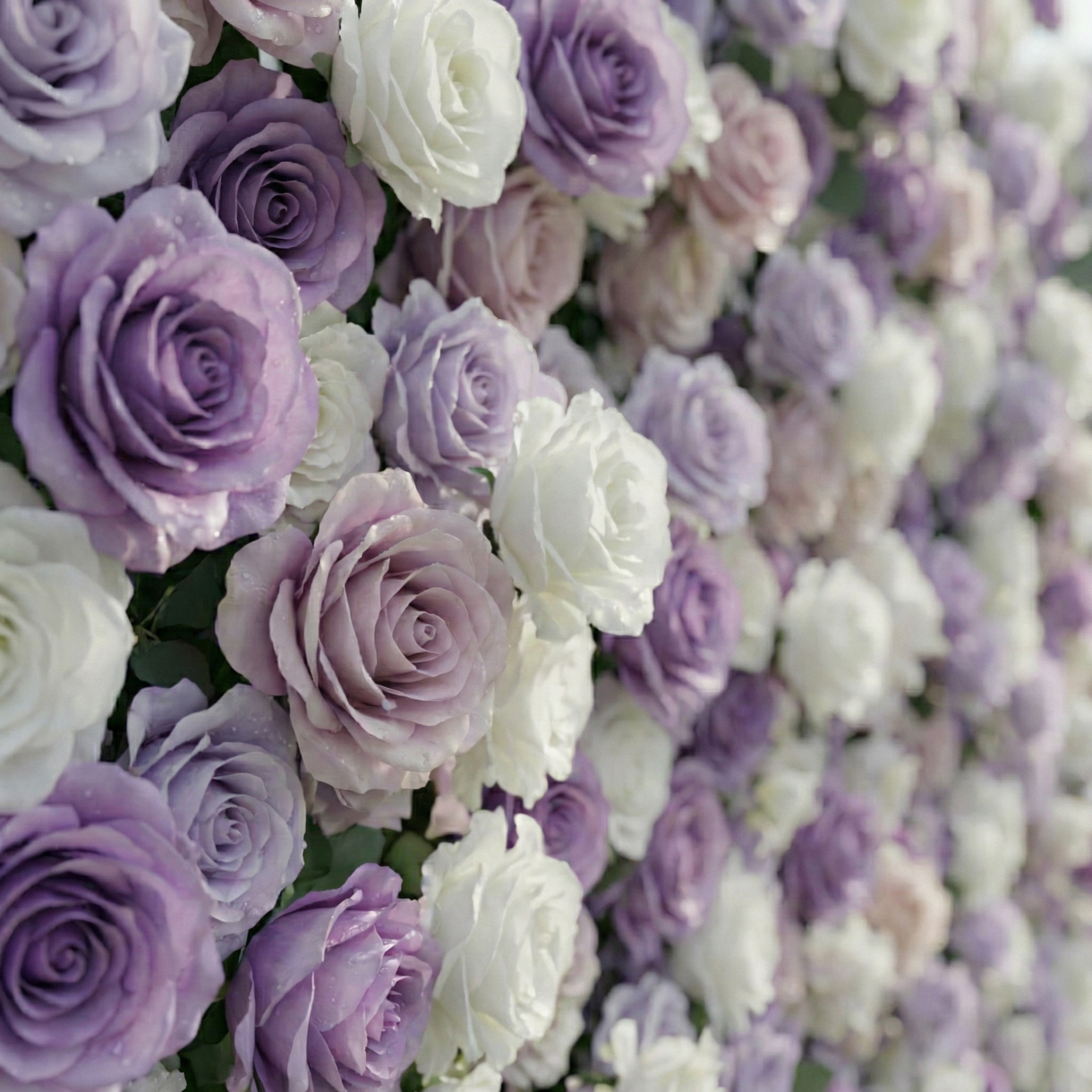 Arden: 5D Luxury Lavender & Cream Silk Floral Wall Roll-Up Fabric Backdrop for Dreamy Weddings & Events