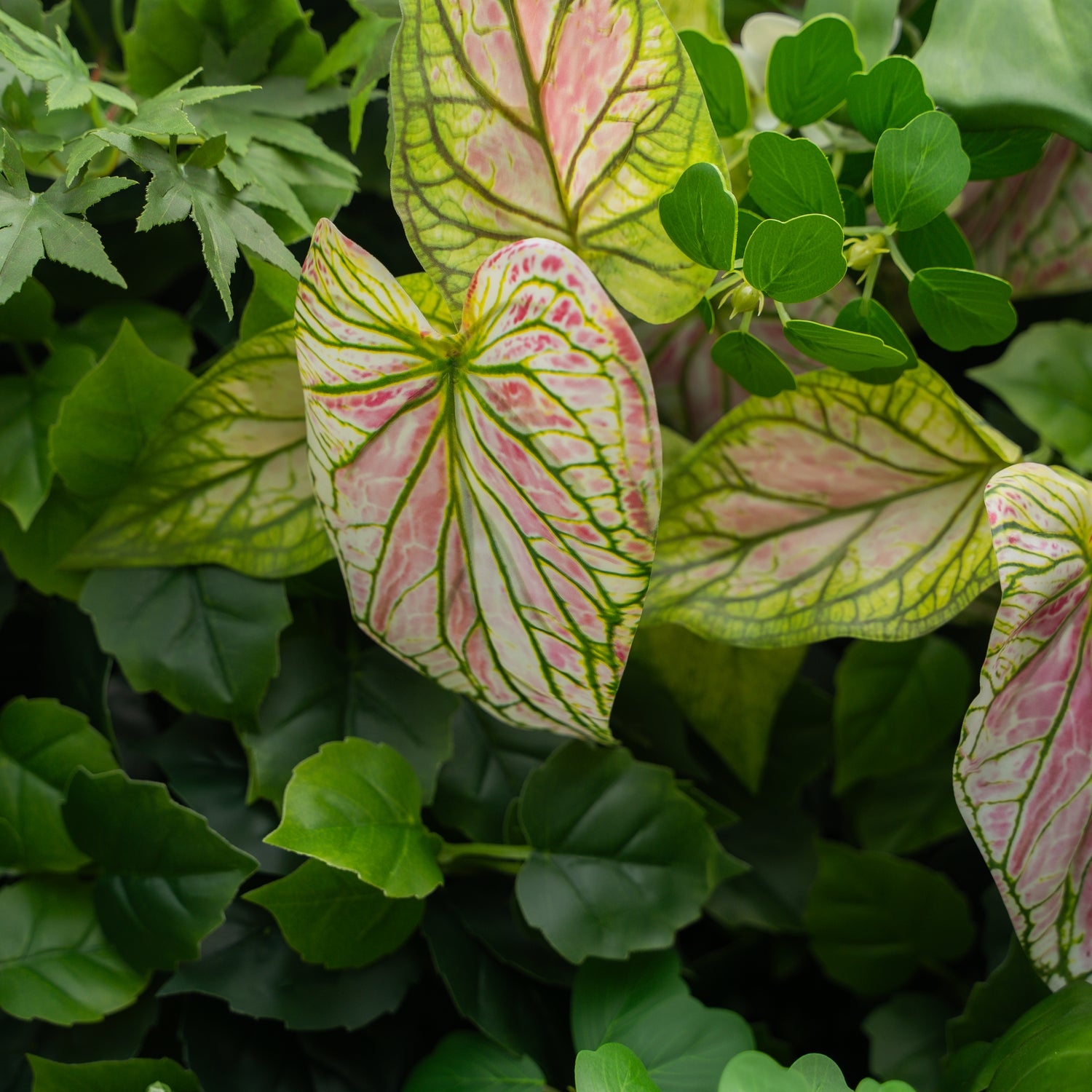 Aura:4D Fabric Artificial rolling up curtain flower wall