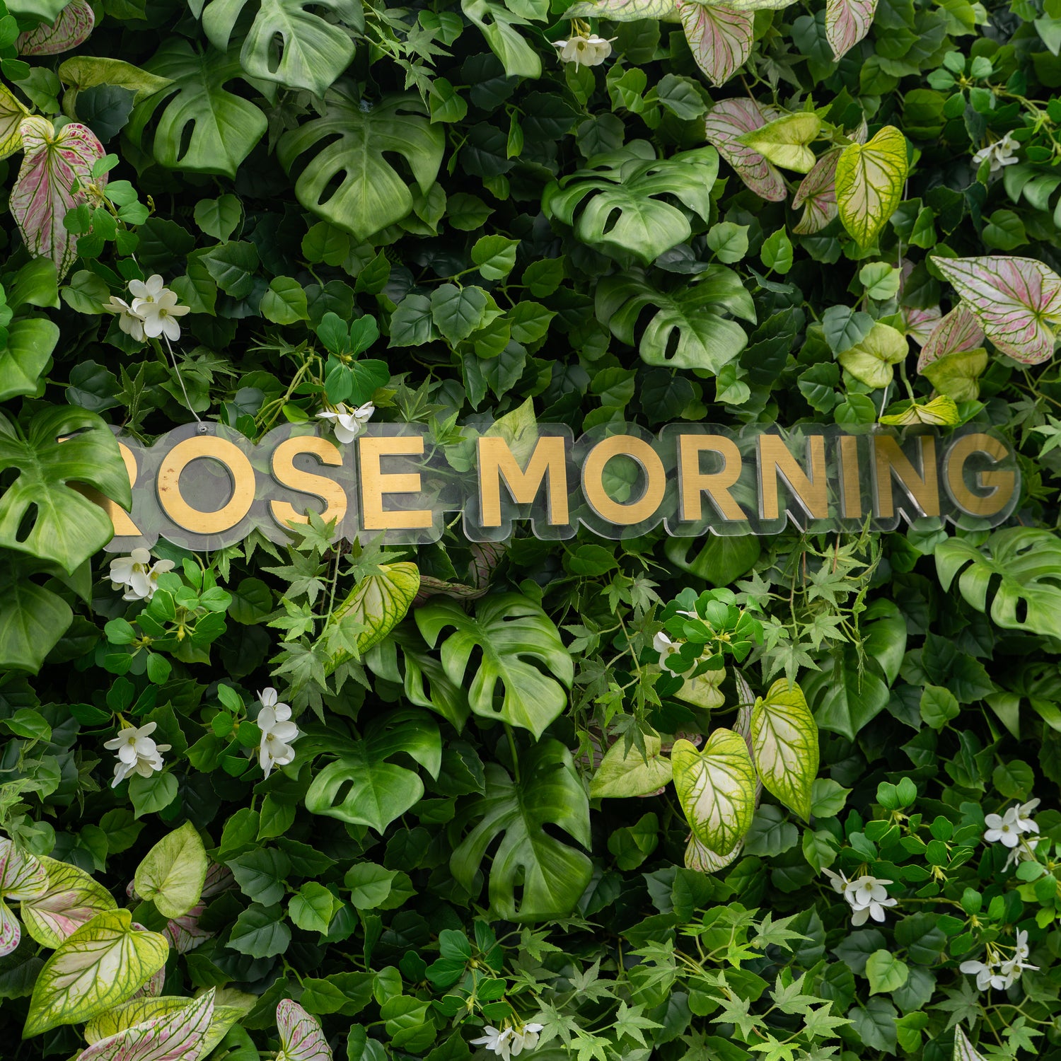 Aura:4D Fabric Artificial rolling up curtain flower wall