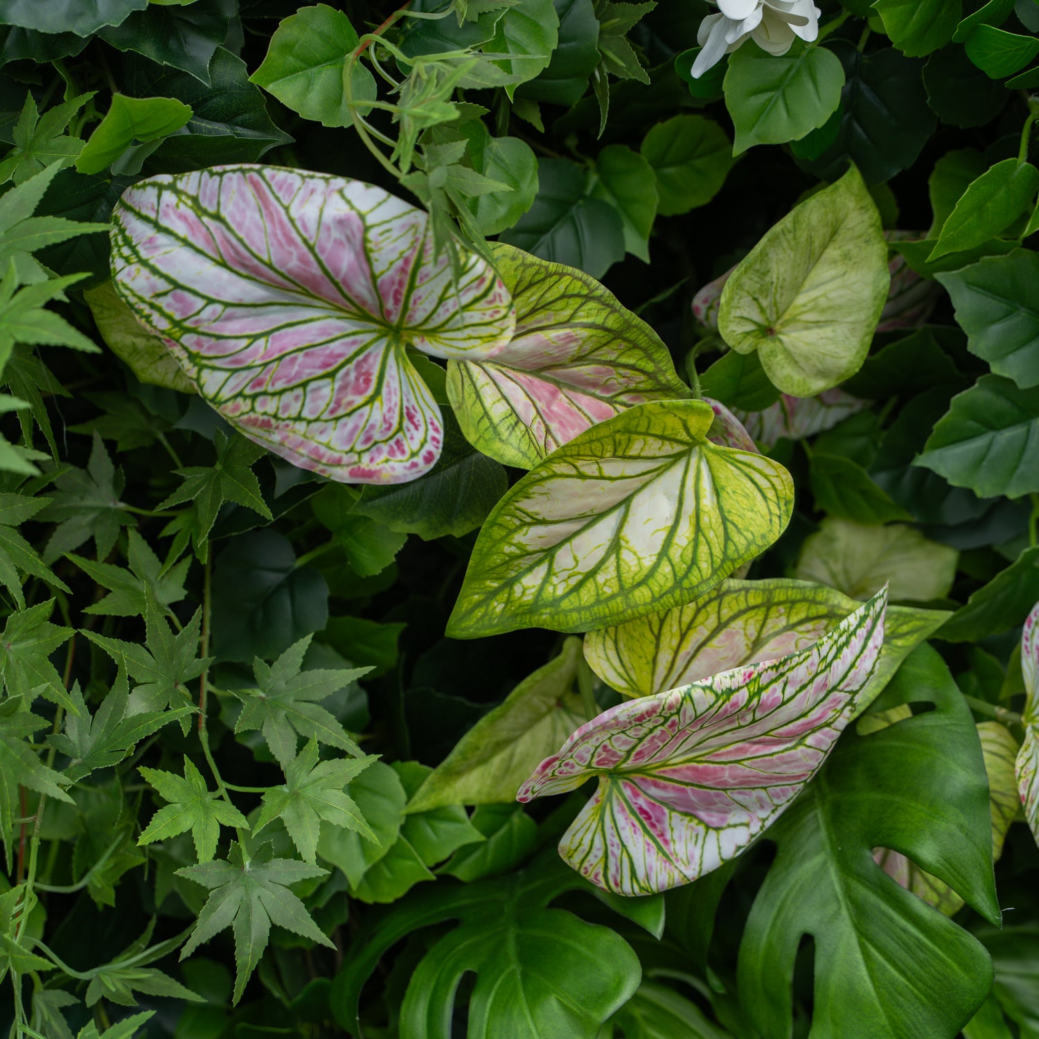 Aura:4D Fabric Artificial rolling up curtain flower wall