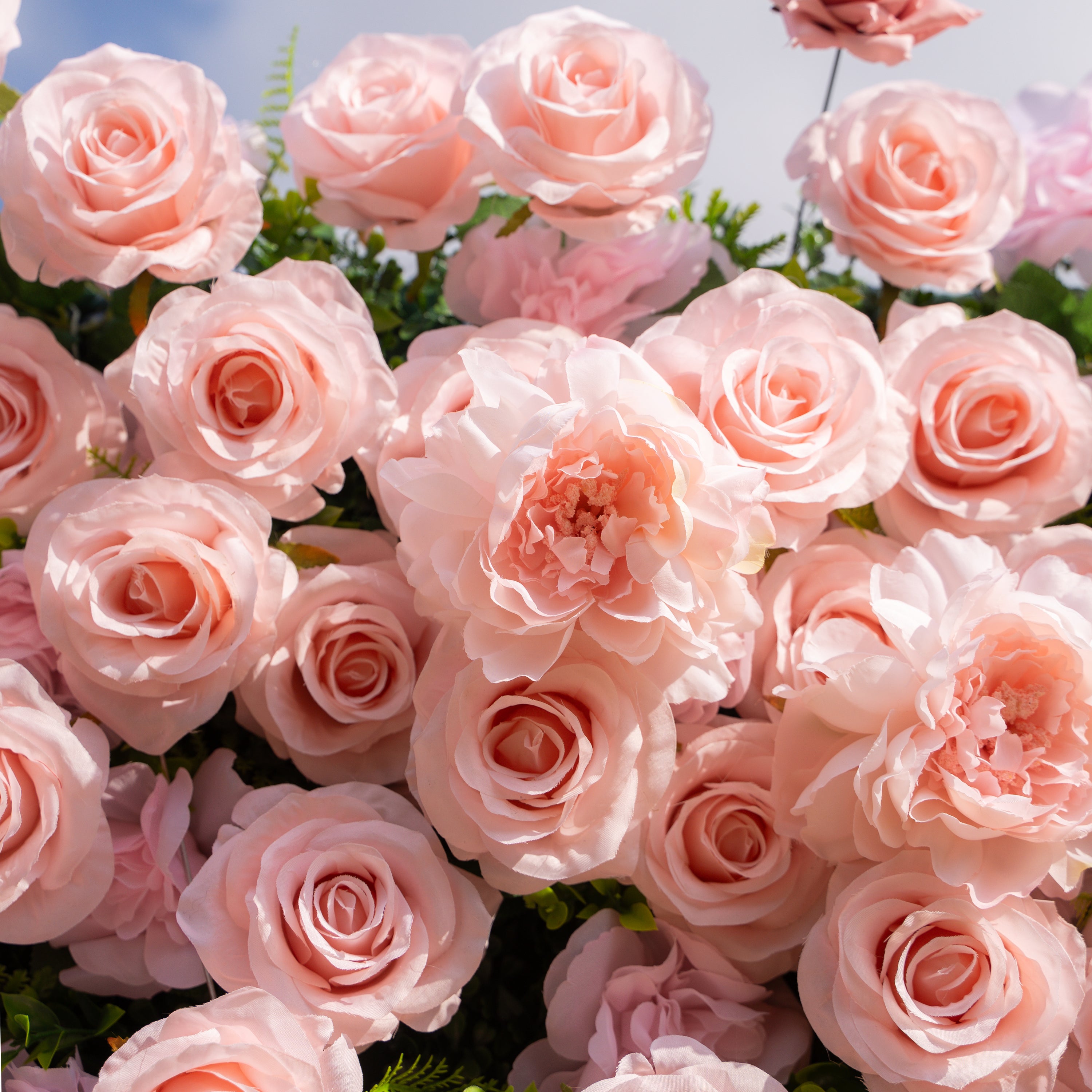 Aurelle: 3D Blush Pink Silk Rose Roll-Up Fabric Flower Wall for Wedding Parties & Events