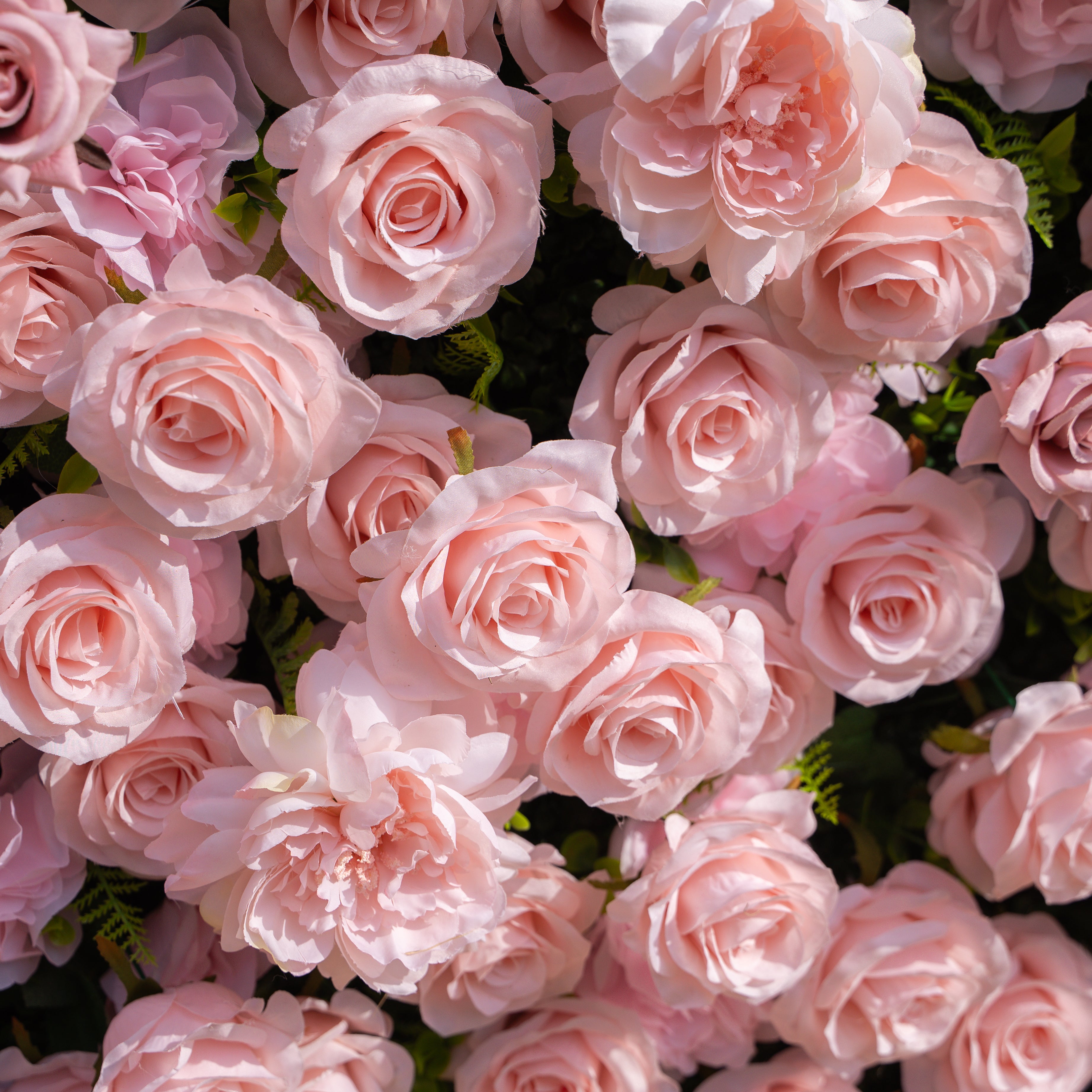 Aurelle: 3D Blush Pink Silk Rose Roll-Up Fabric Flower Wall for Wedding Parties & Events