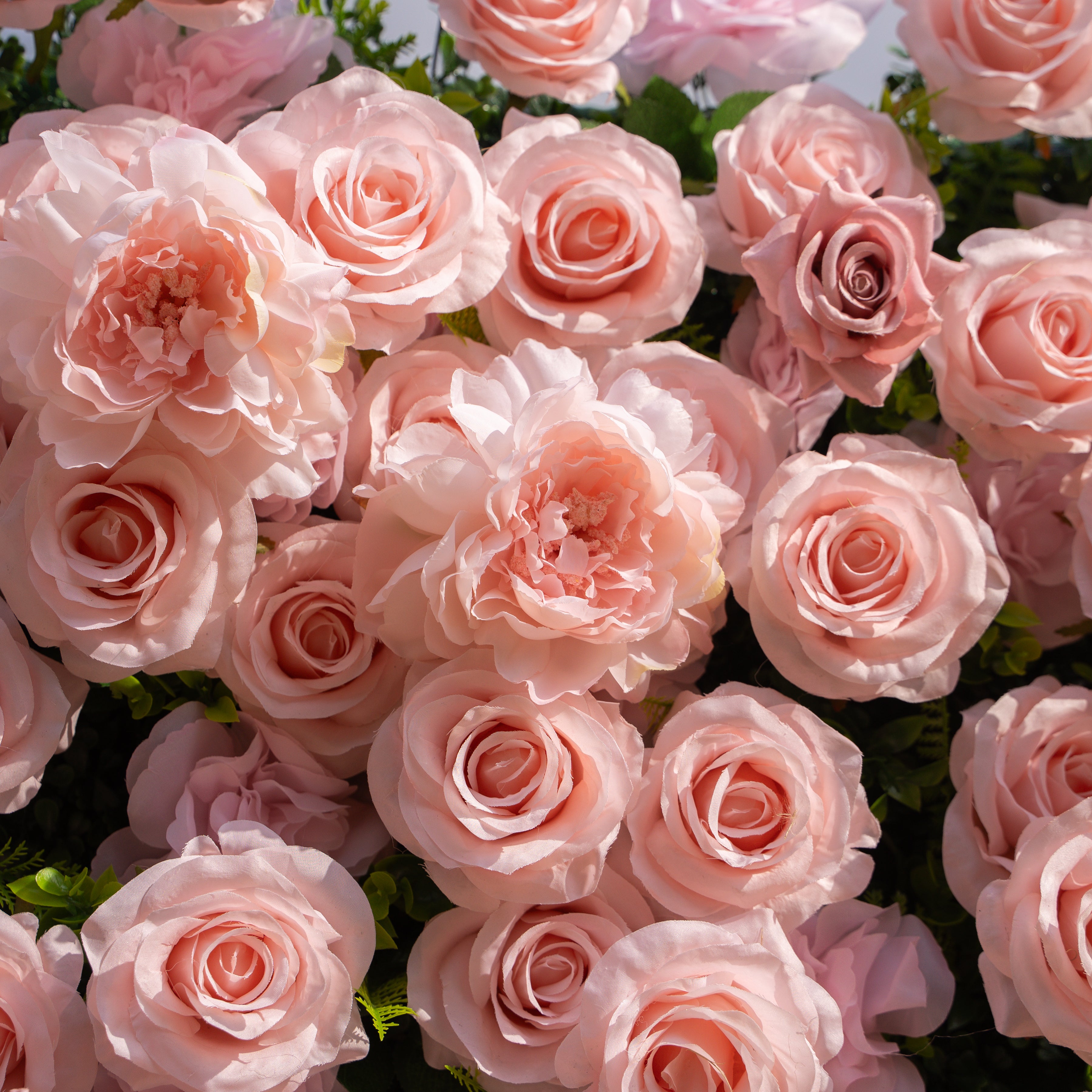 Aurelle: 3D Blush Pink Silk Rose Roll-Up Fabric Flower Wall for Wedding Parties & Events