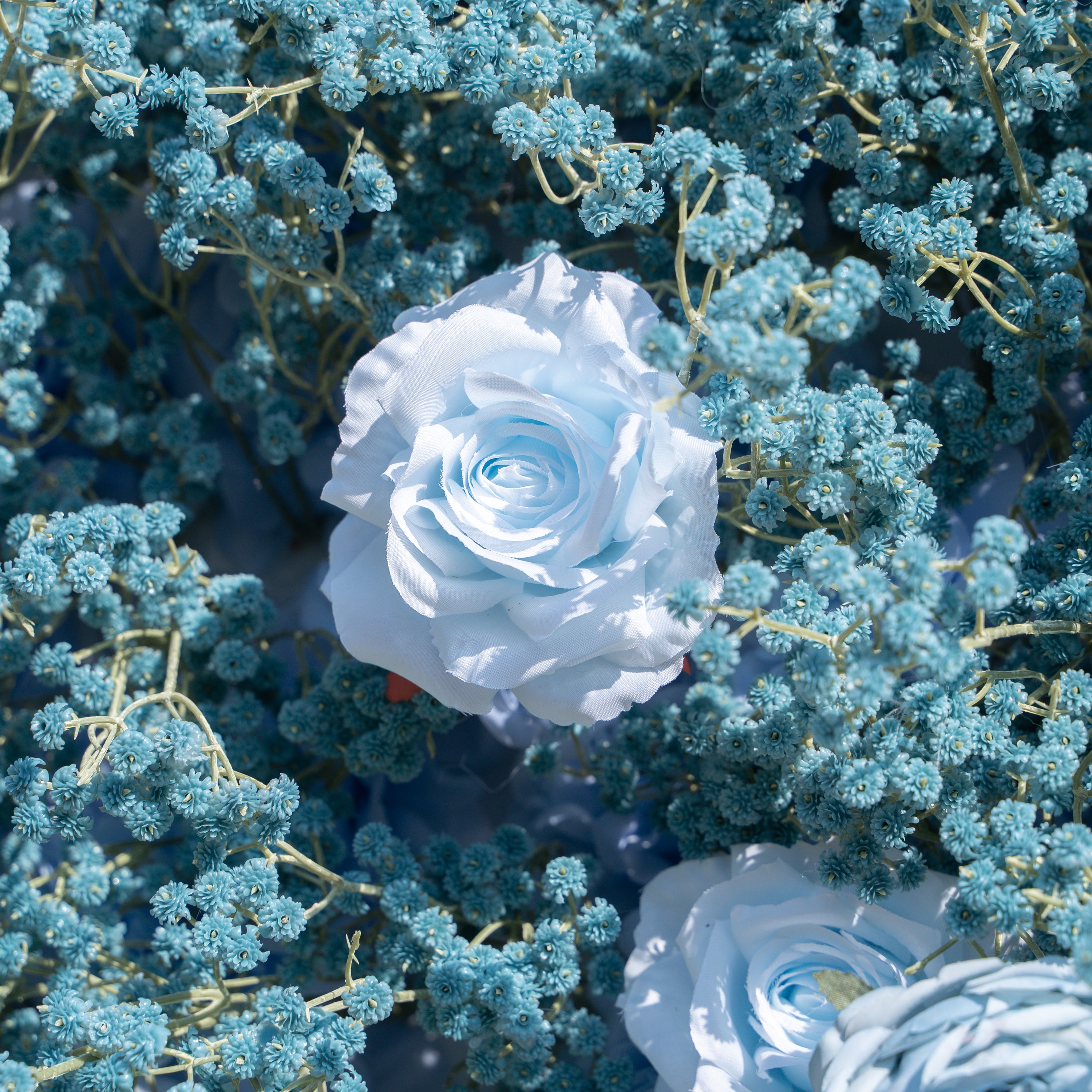 Blue Baby Breath:3D Fabric Artificial rolling up curtain flower wall