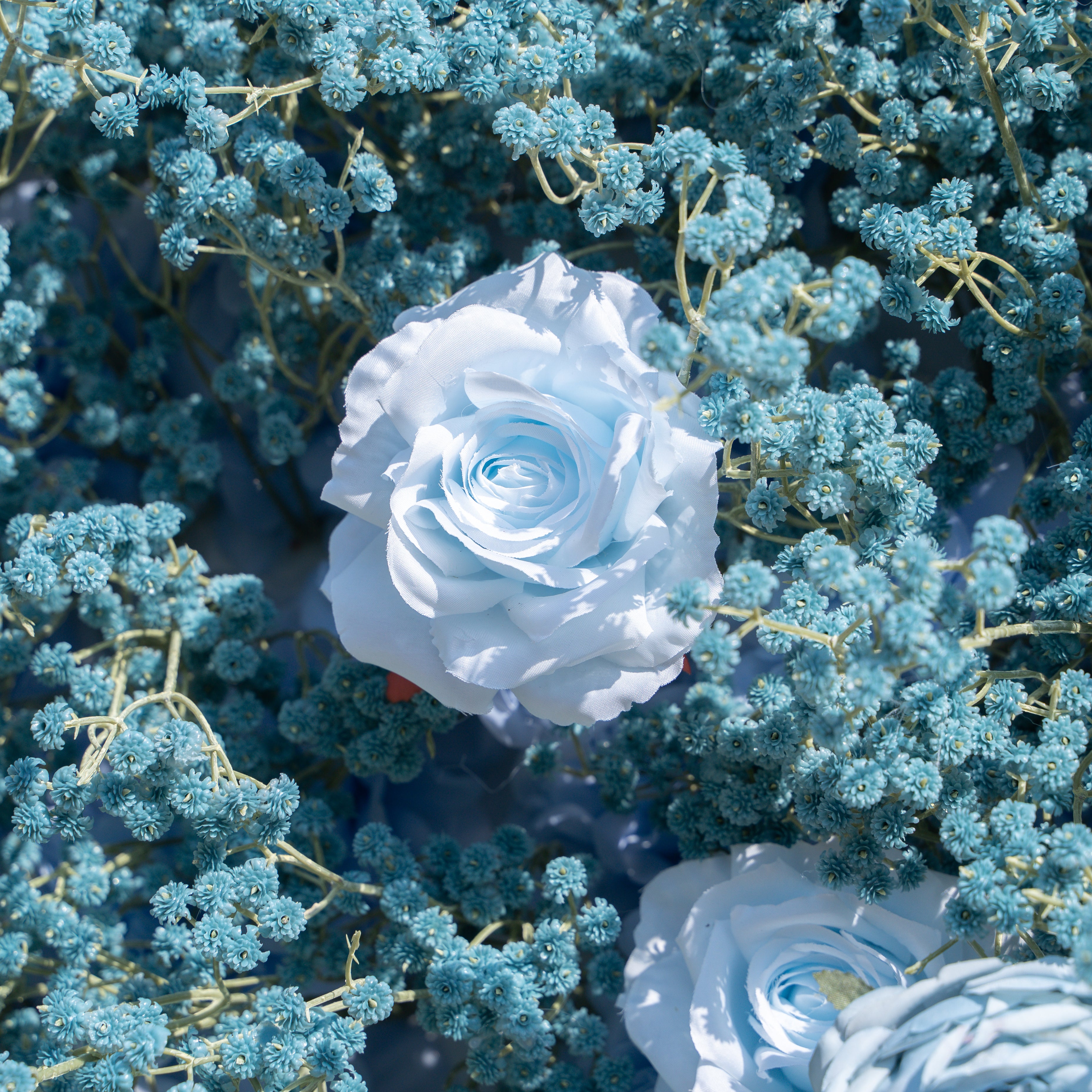 Blue Baby Breath:3D Fabric Artificial rolling up curtain flower wall