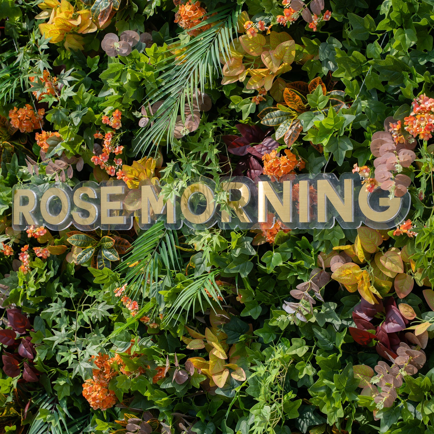 Berenice:4D Fabric Artificial rolling up curtain flower wall