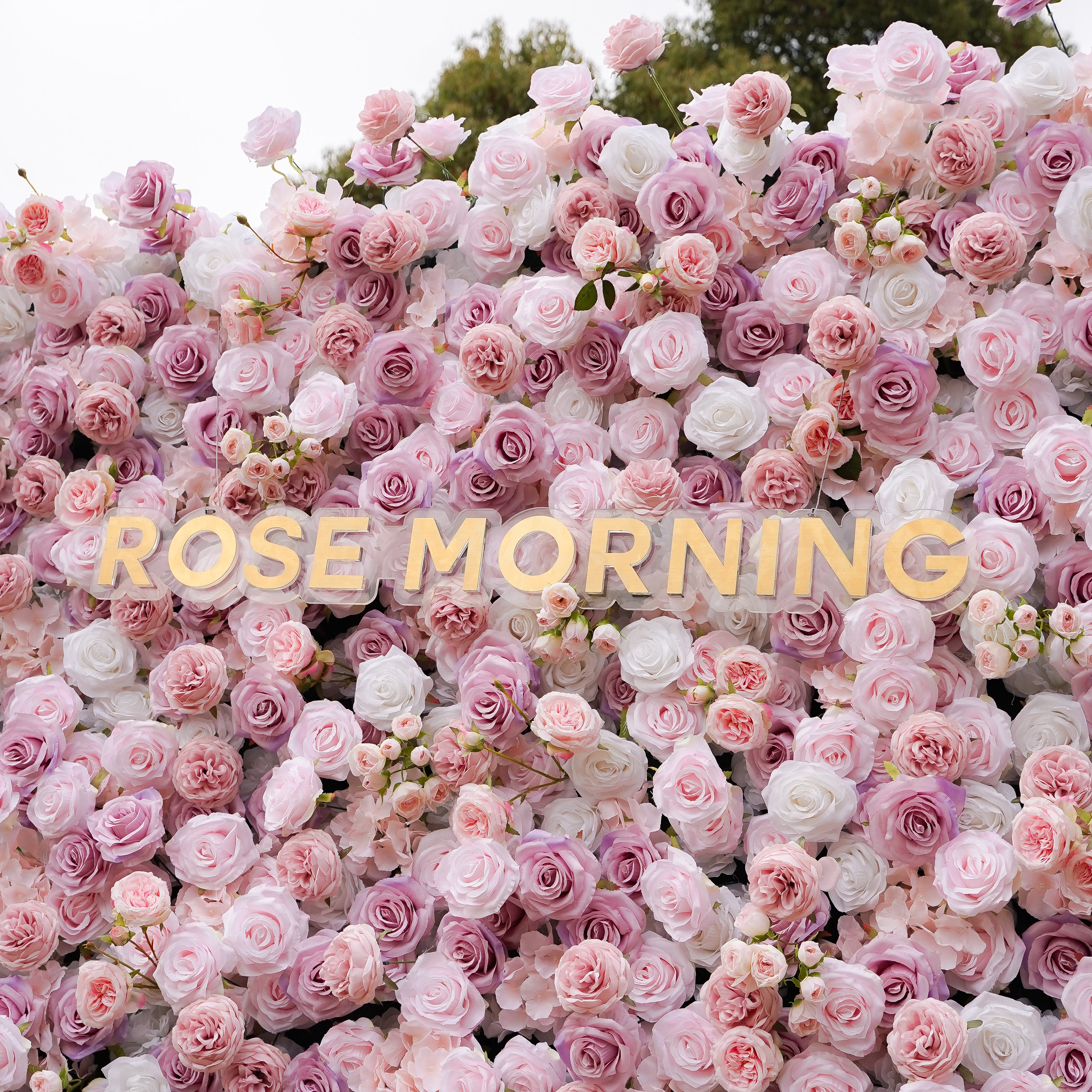 Bliss: Fabric Artificial zip up curtain flower wall 8ft*8ft Rose Morning