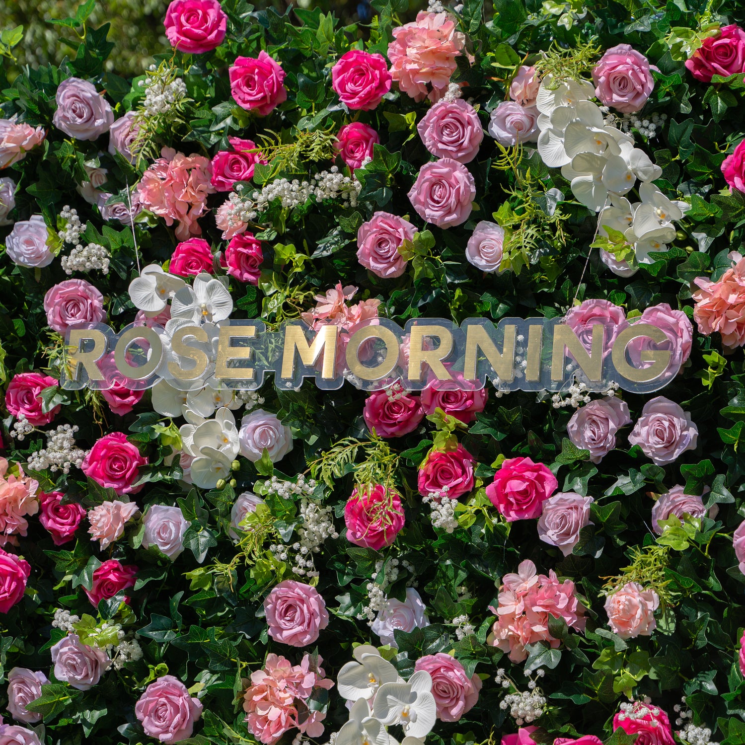 Brielle:5D Fabric Artificial rolling up curtain flower wall (Ready to ship) Rose Morning