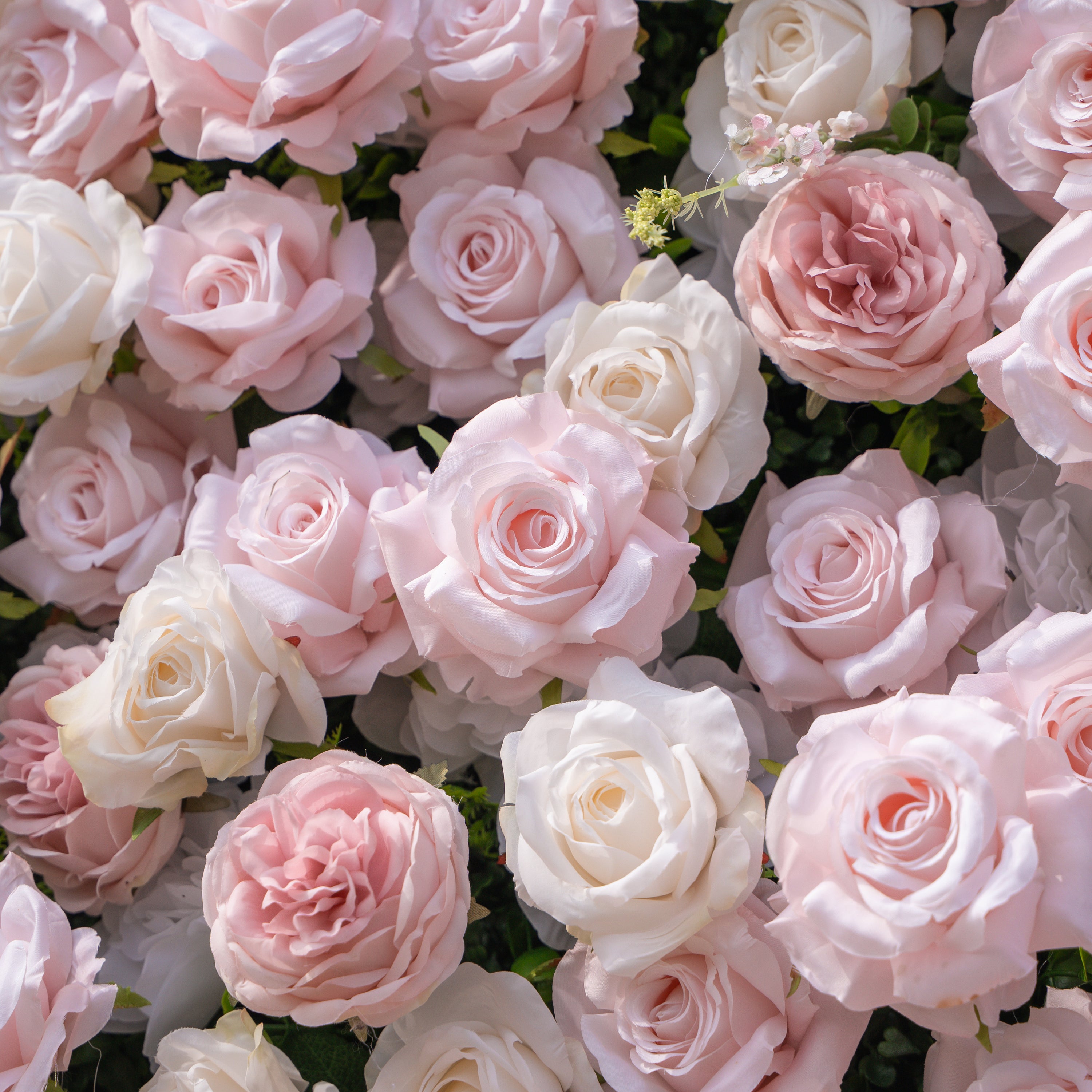 Caius: Luxury 5D Cream & Blush Silk Floral Wall Roll-Up Fabric Backdrop for Dreamy Garden Weddings & Bridal Showers