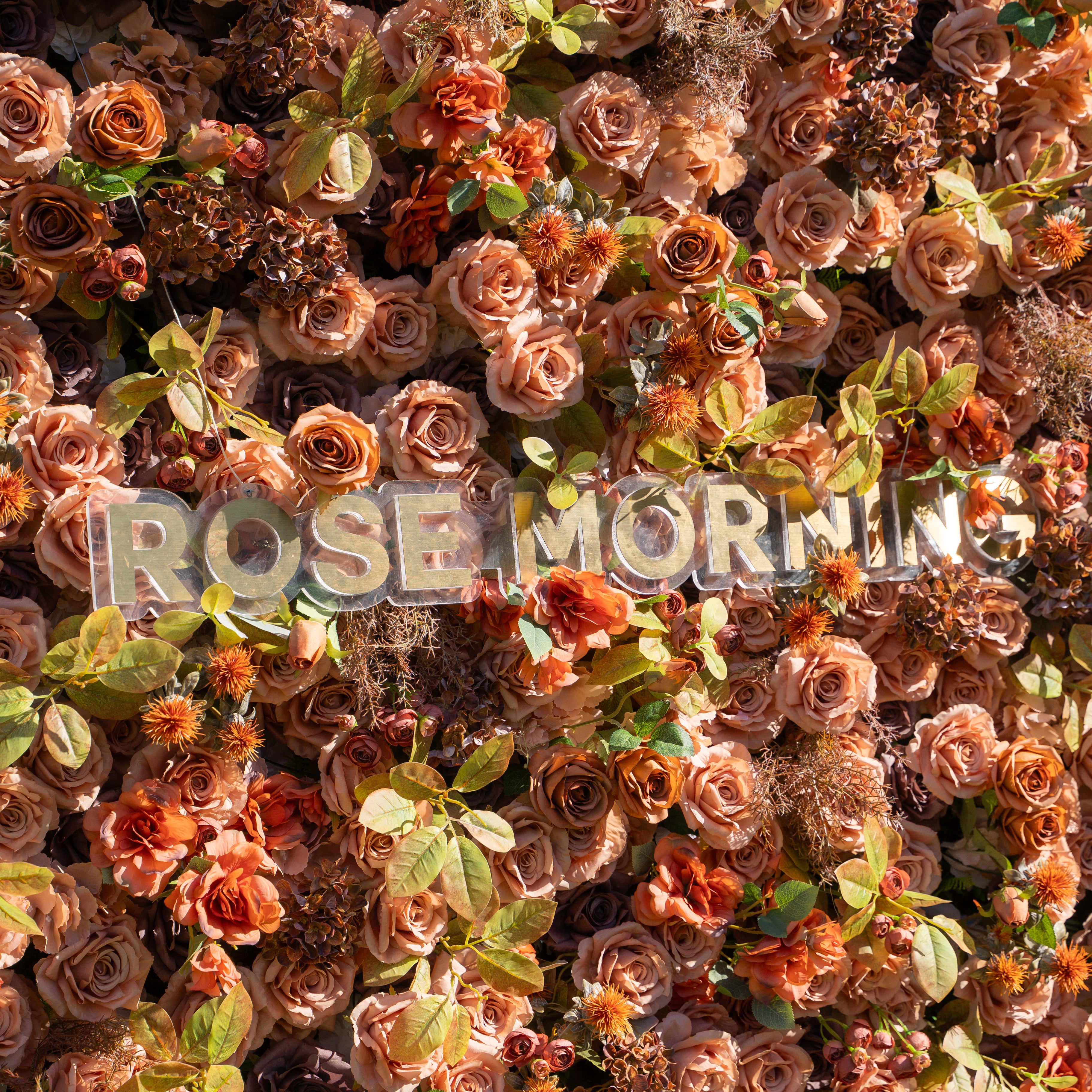 Cappuccino:5D Fabric Artificial rolling up curtain flower wall