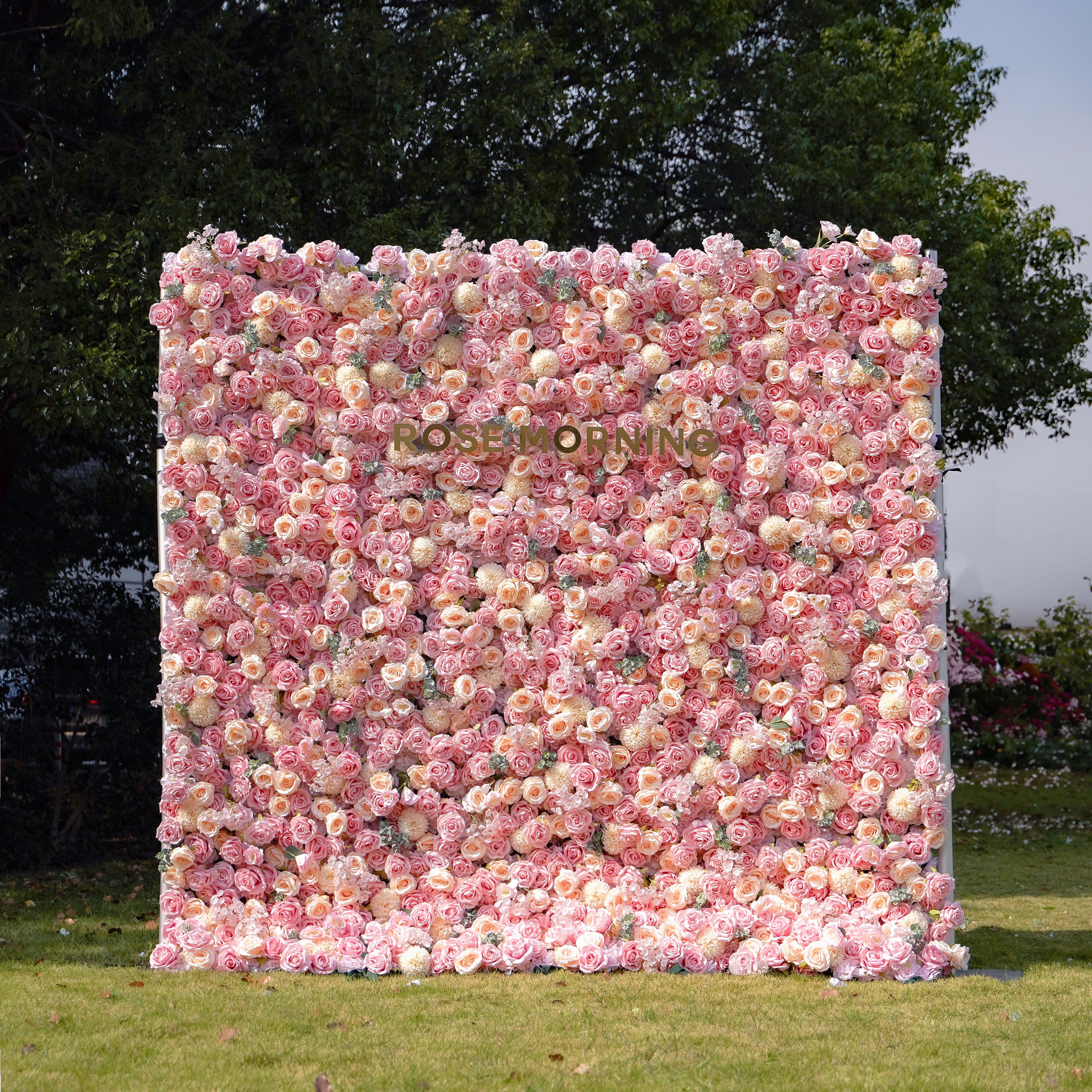 Cara 5D Fabric Artificial rolling up curtain flower wall Rose Morning