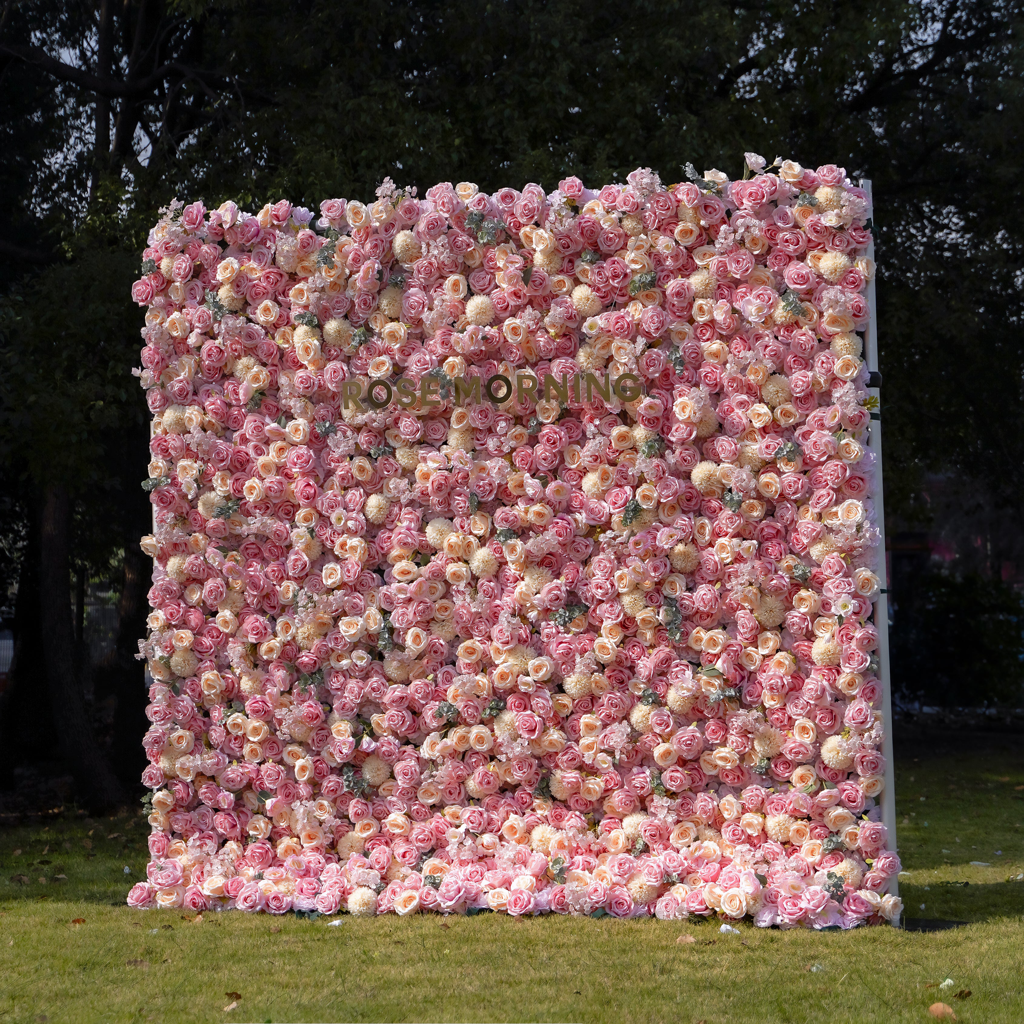Cara 5D Fabric Artificial rolling up curtain flower wall Rose Morning