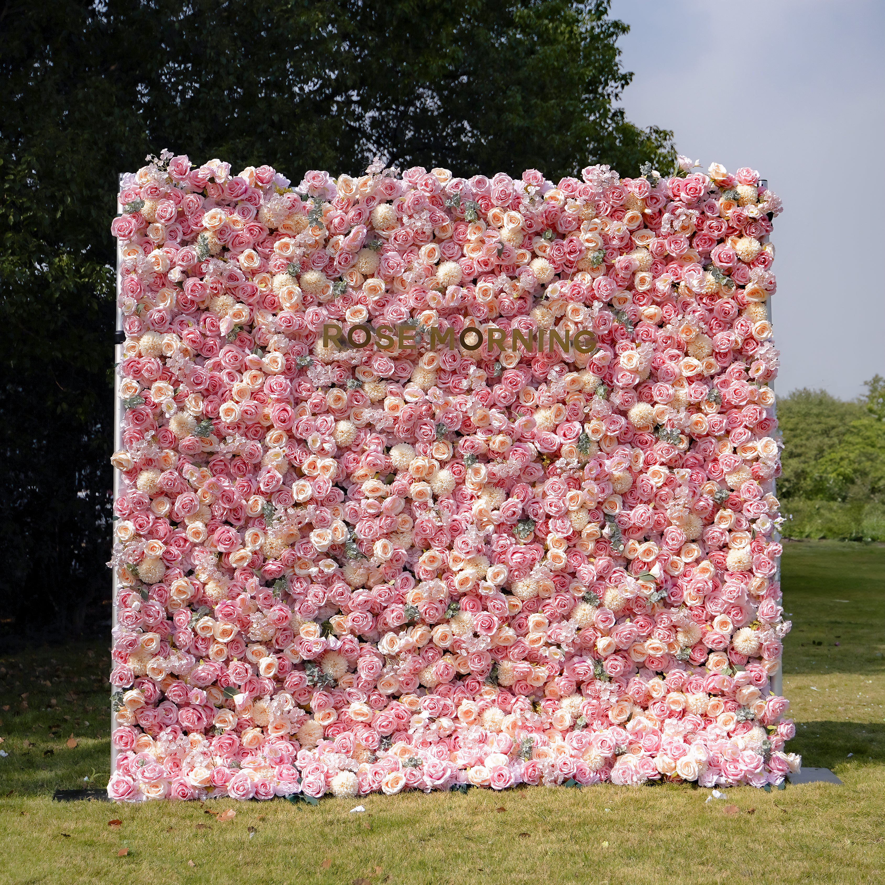 Cara 5D Fabric Artificial rolling up curtain flower wall Rose Morning