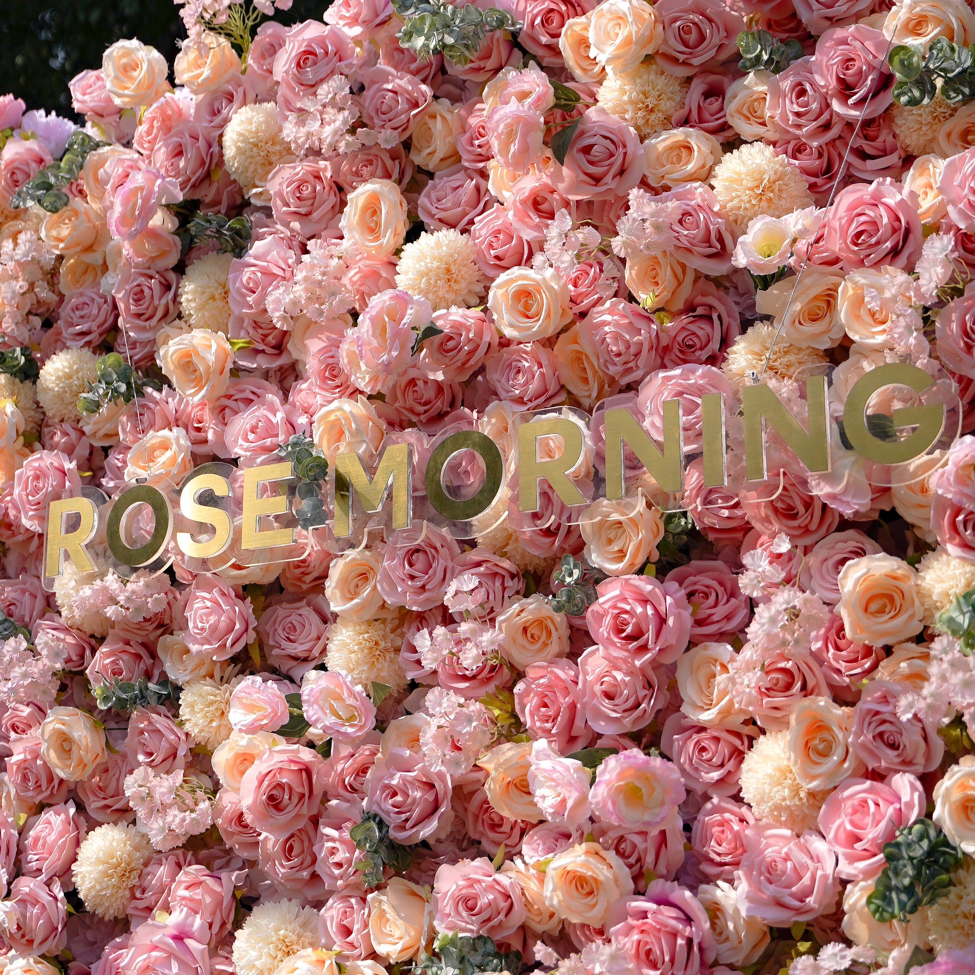 Cara 5D Fabric Artificial rolling up curtain flower wall Rose Morning