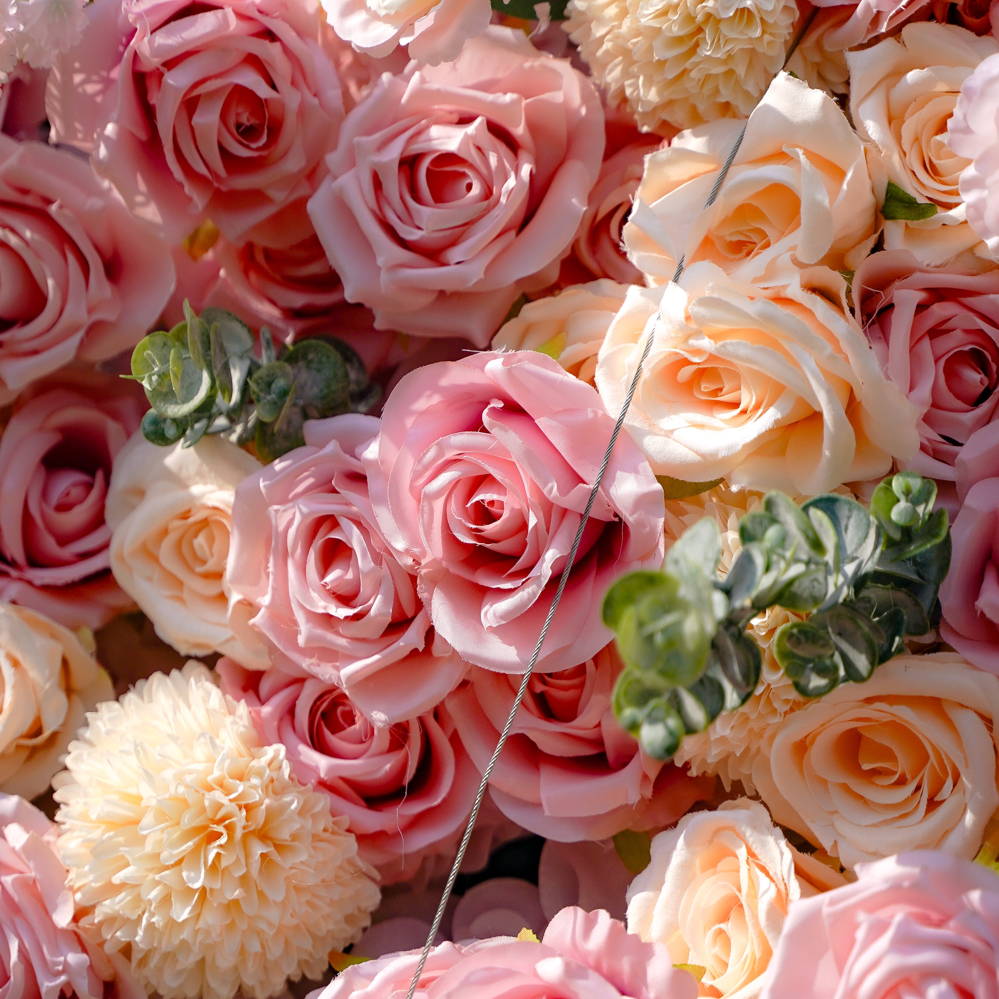 Cara 5D Fabric Artificial rolling up curtain flower wall Rose Morning