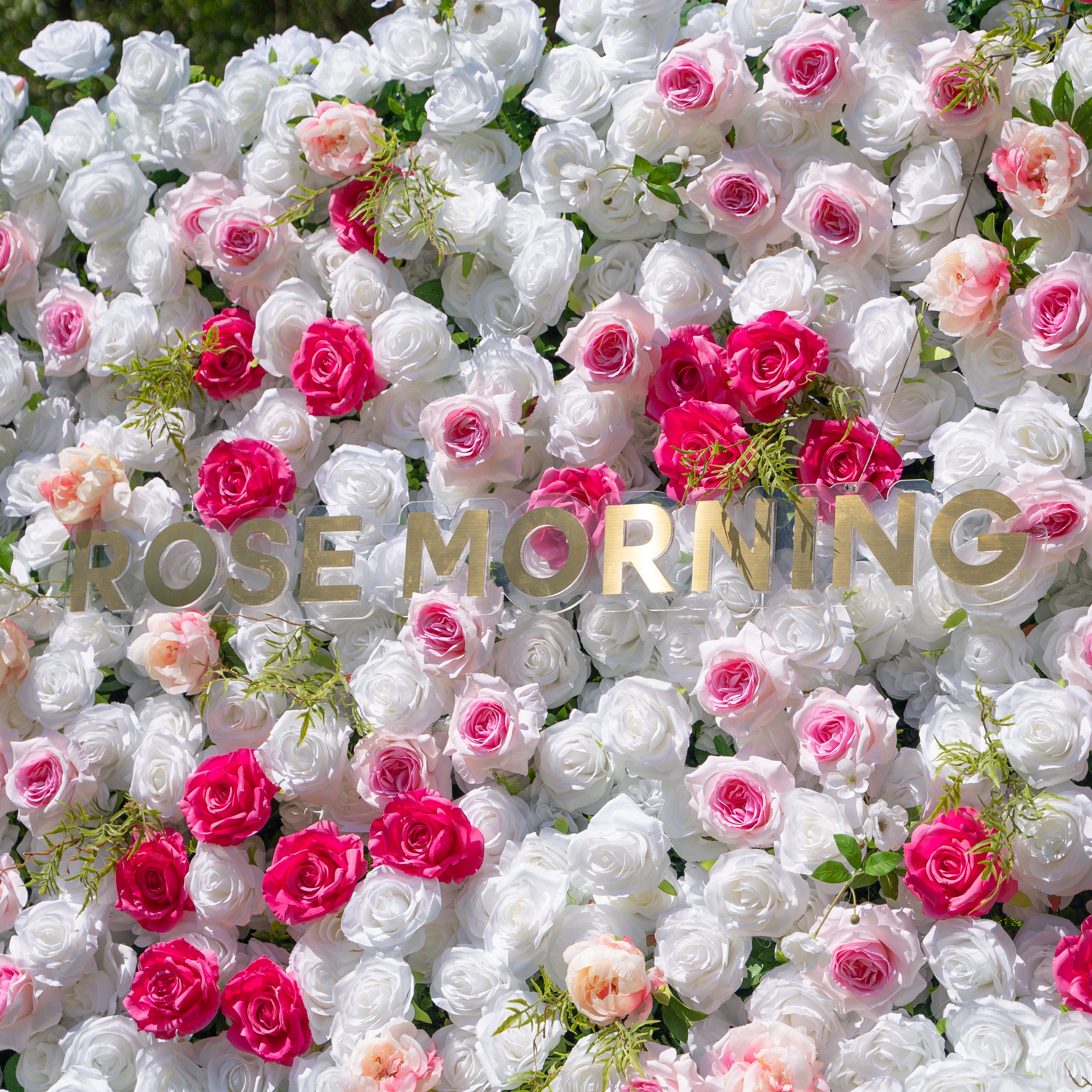 Carrie:3D Fabric Artificial rolling up curtain flower wall