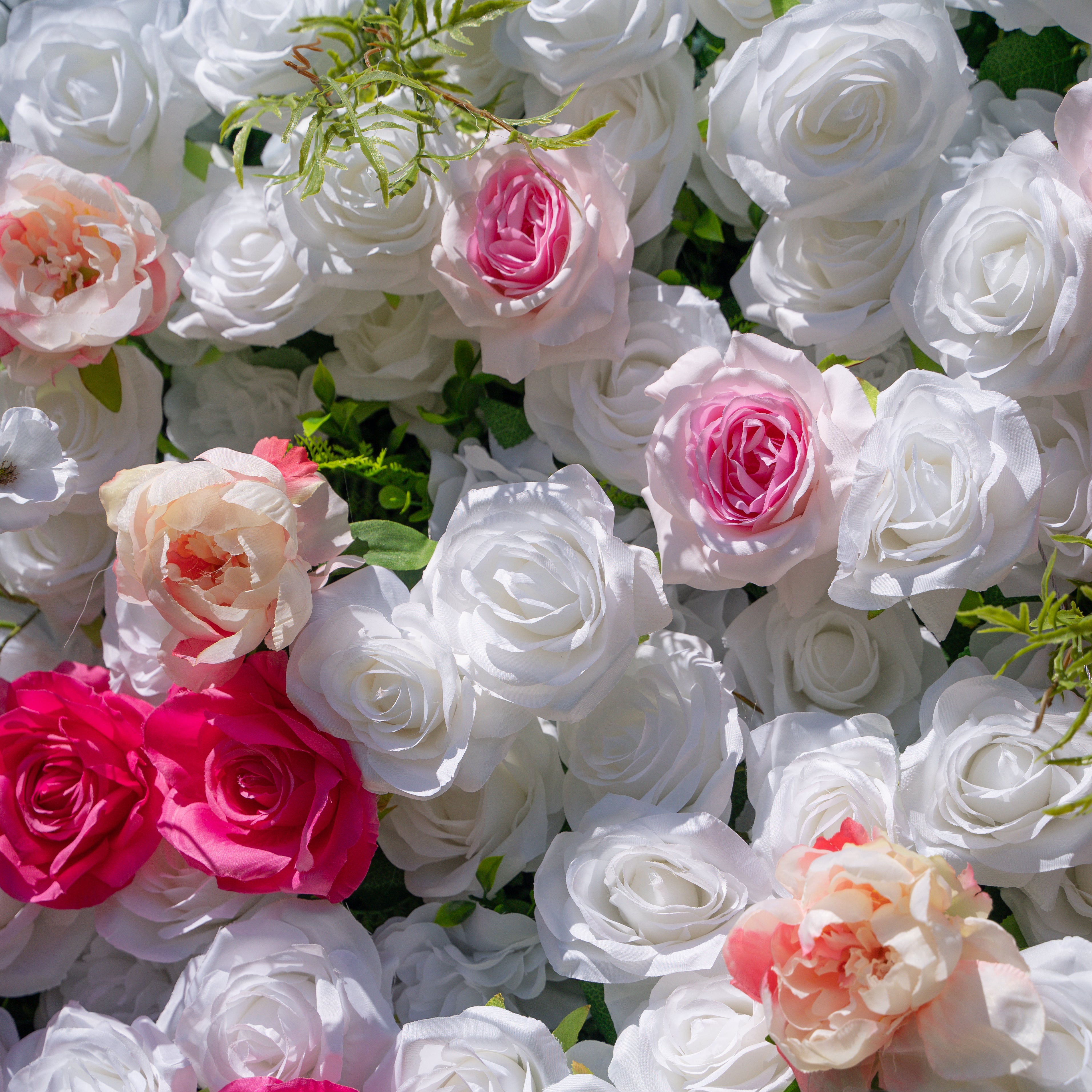 Carrie:3D Fabric Artificial rolling up curtain flower wall