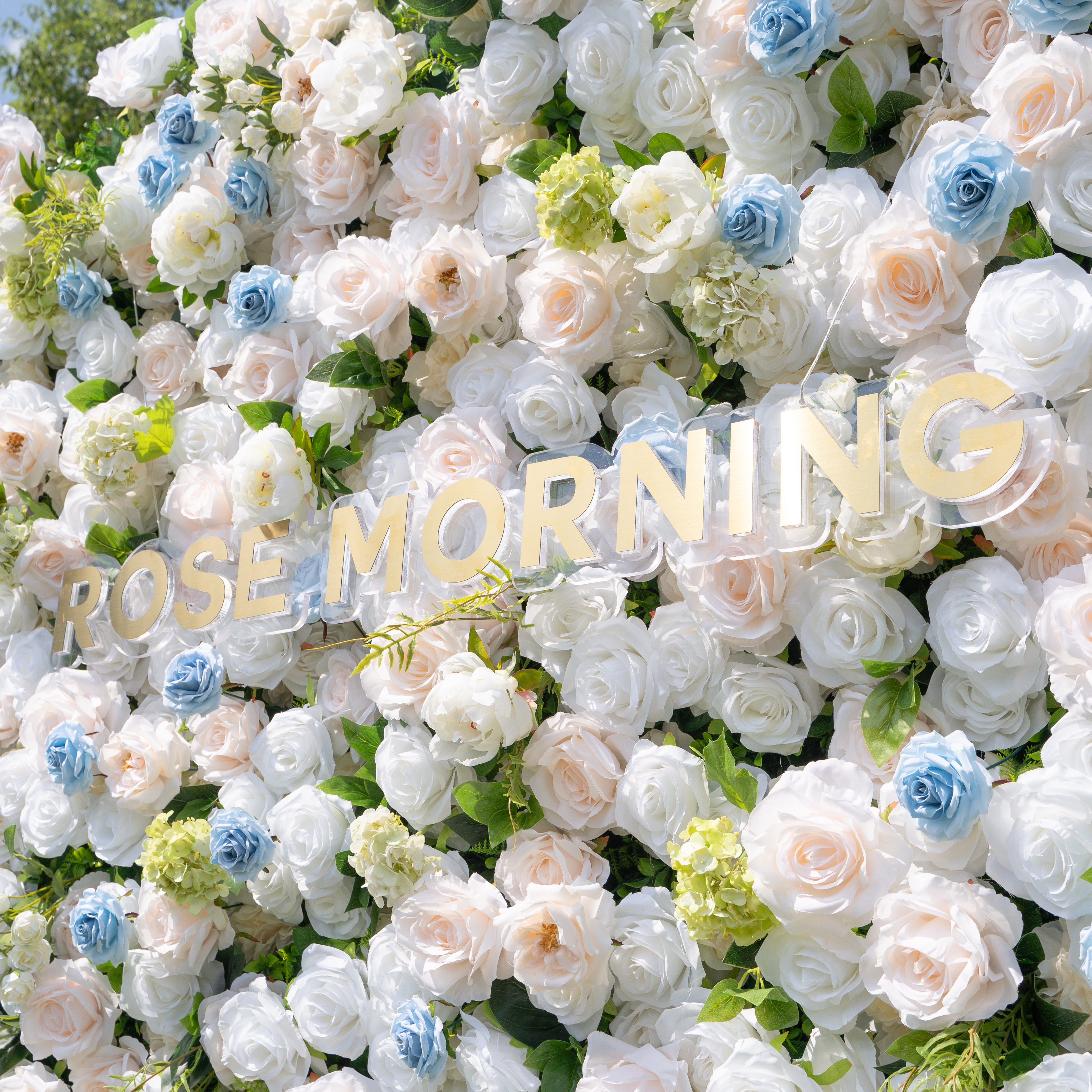 Carter:4D Fabric Artificial zip up curtain flower wall 8ft*8ft