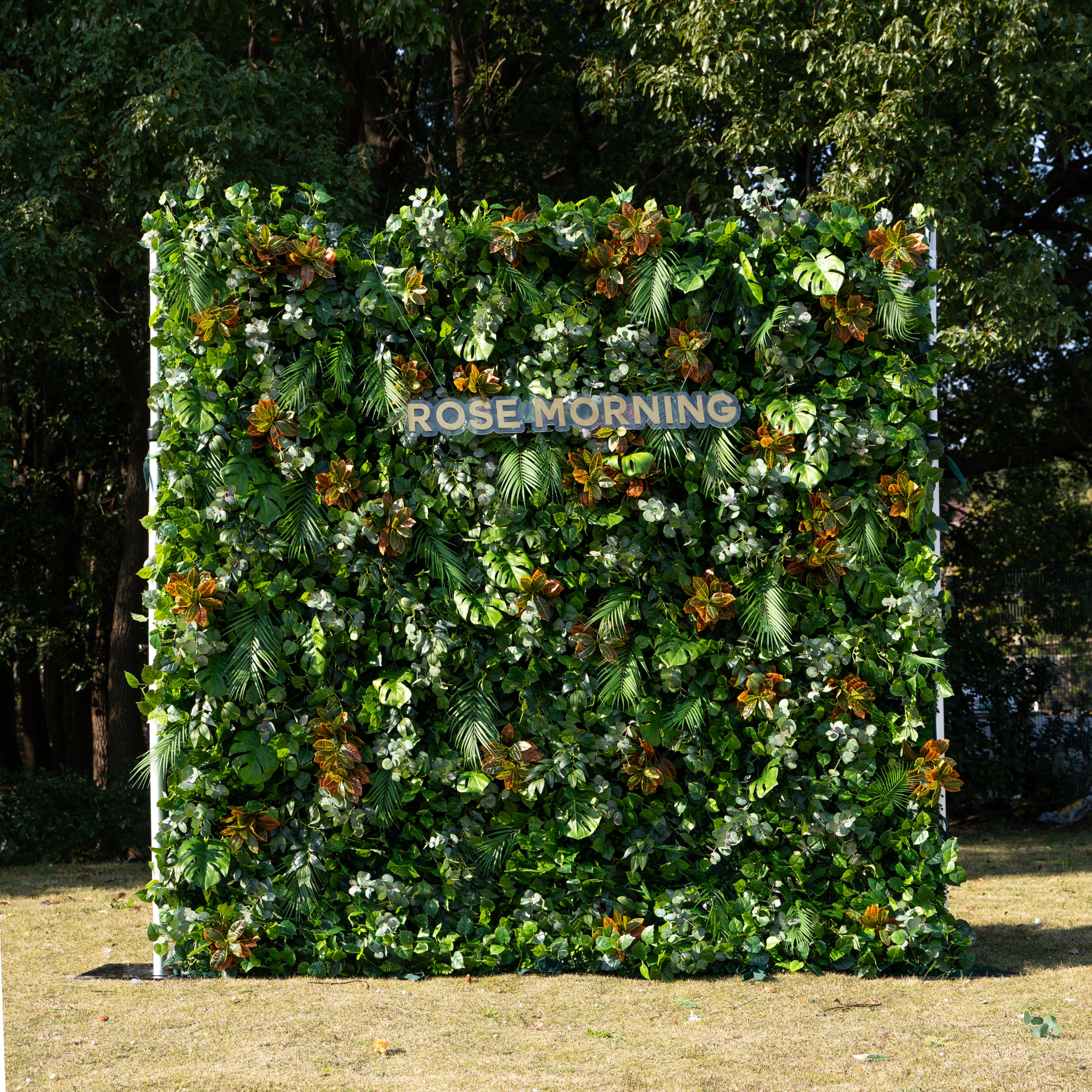 Cassandra:5D Fabric Artificial rolling up curtain flower wall