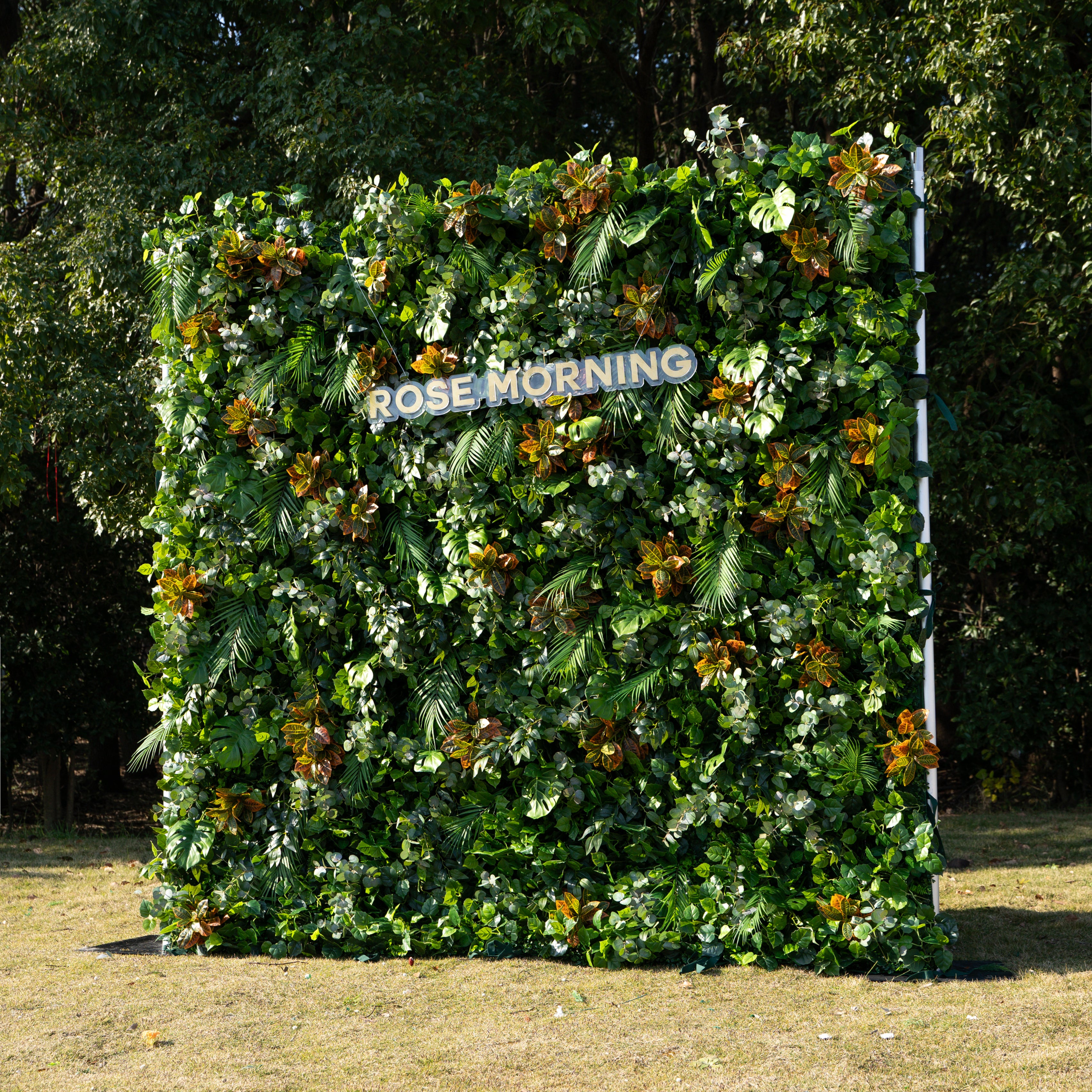 Cassandra:5D Fabric Artificial rolling up curtain flower wall