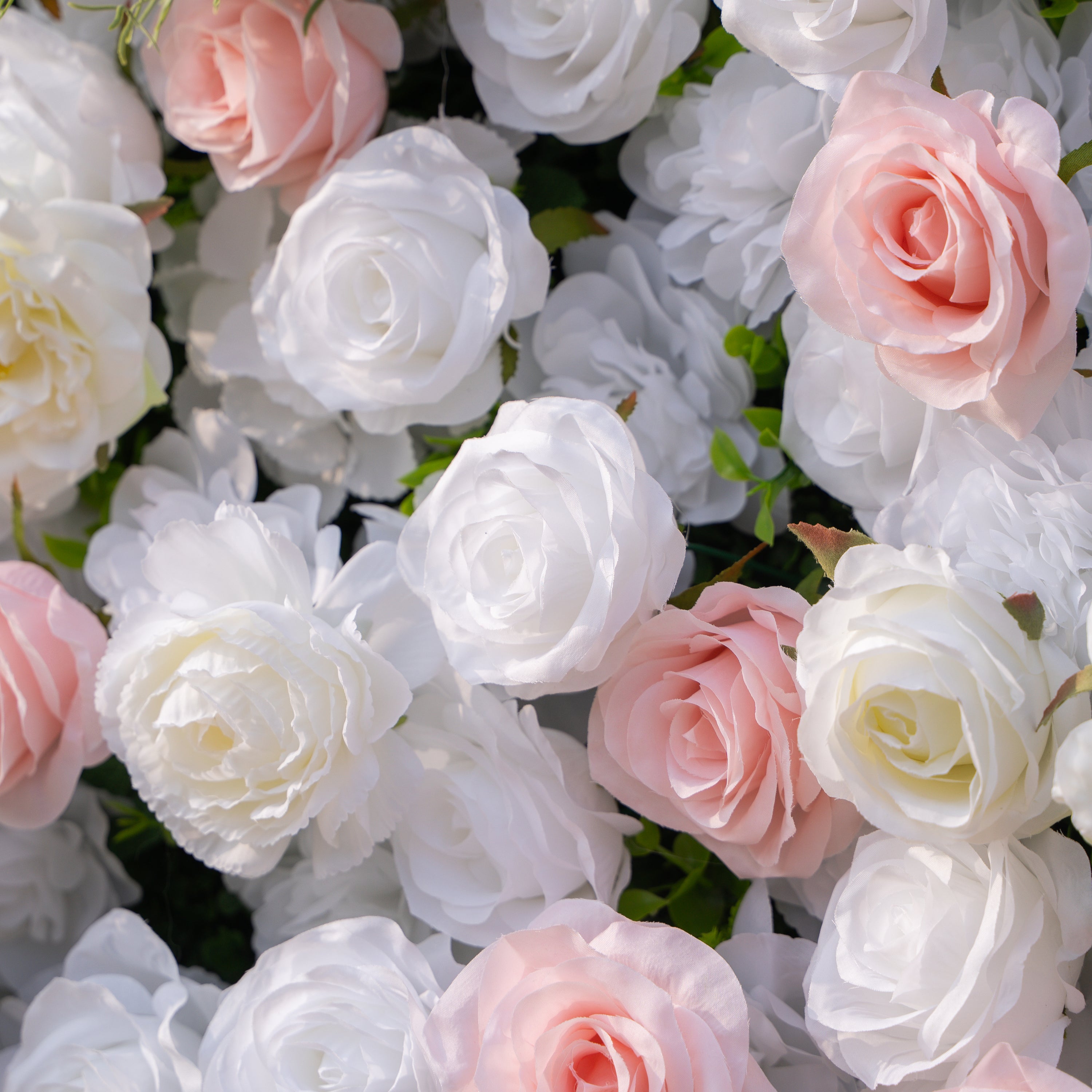 Céline: 3D Elegant White & Blush Pink Silk Rose Flower Wall Roll-Up Fabric Backdrop for Luxury Weddings & Events(In Us Stock & Shipping 5-7 Days)