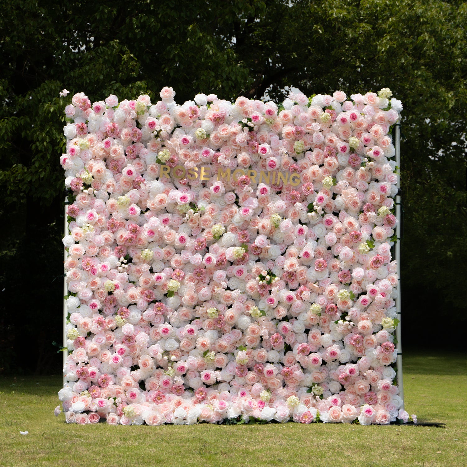 Chelsea:5D Fabric Artificial rolling up curtain flower wall Rose Morning