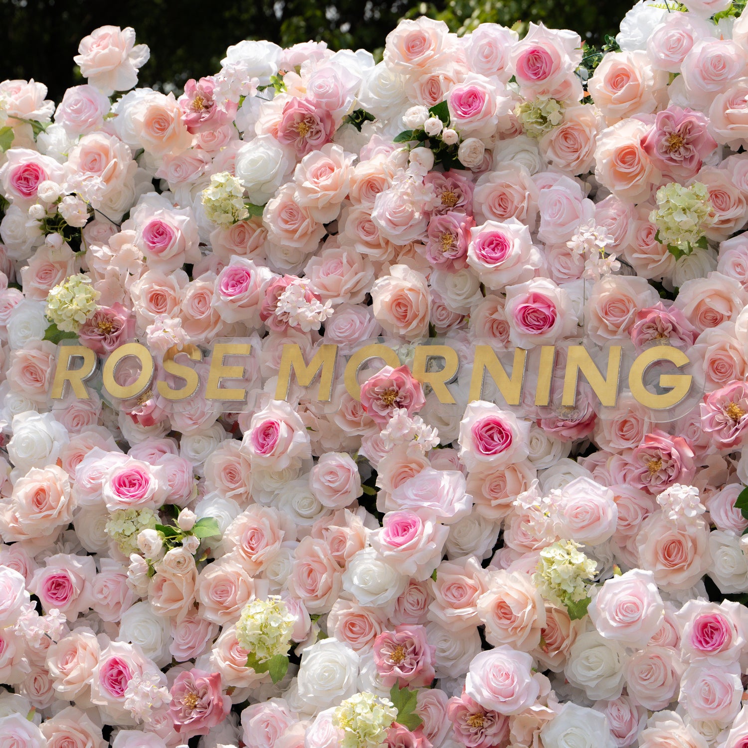 Chelsea:5D Fabric Artificial rolling up curtain flower wall Rose Morning