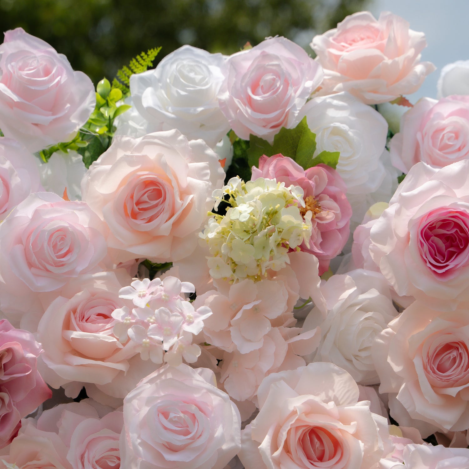 Chelsea:5D Fabric Artificial rolling up curtain flower wall Rose Morning